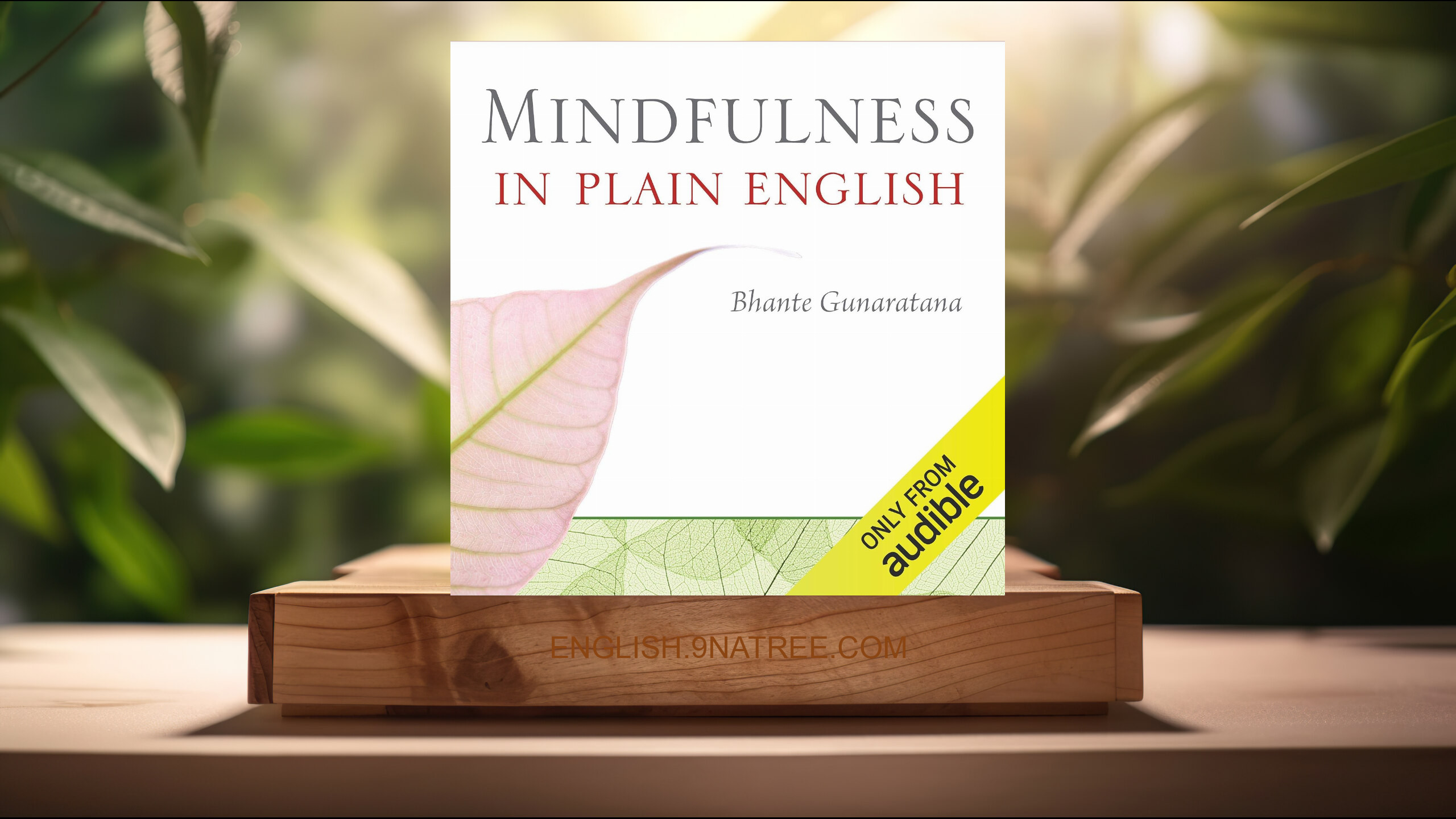 [Review] Mindfulness in Plain English (Bhante Henepola Gunaratana) Summarized.