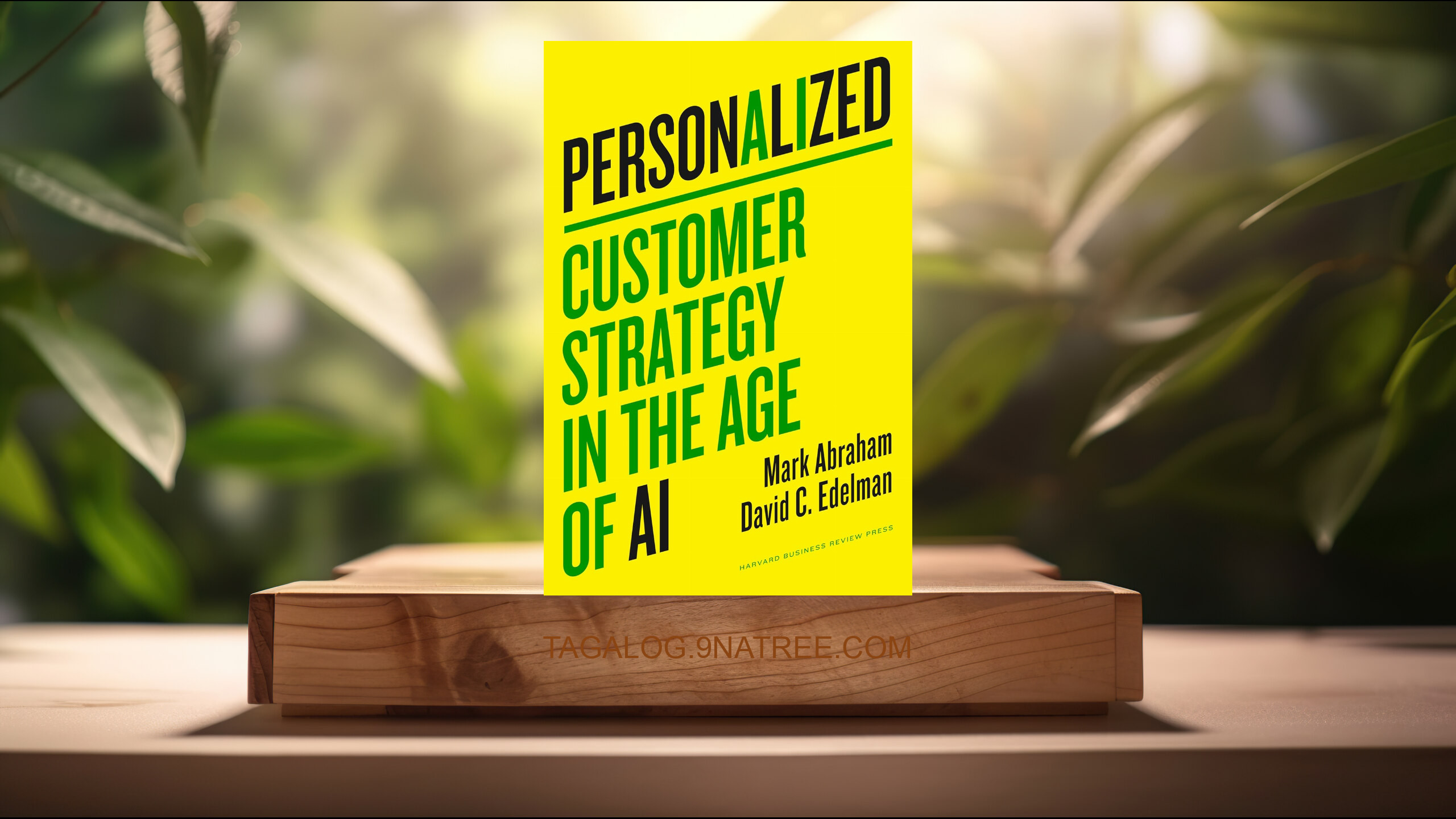 [Pagsusuri] Personalized: Customer Strategy in the Age of AI (Mark Abraham) Nabuod.