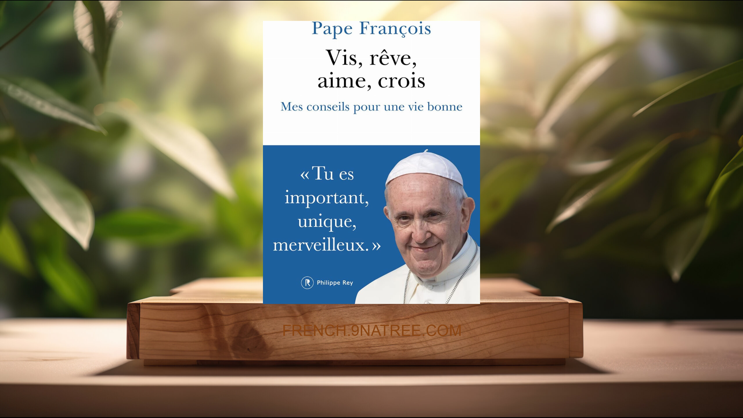 [Critique] Vis, rêve, aime, crois - Mes conseils pour une vie bonne (Pape Francois) Résumé.