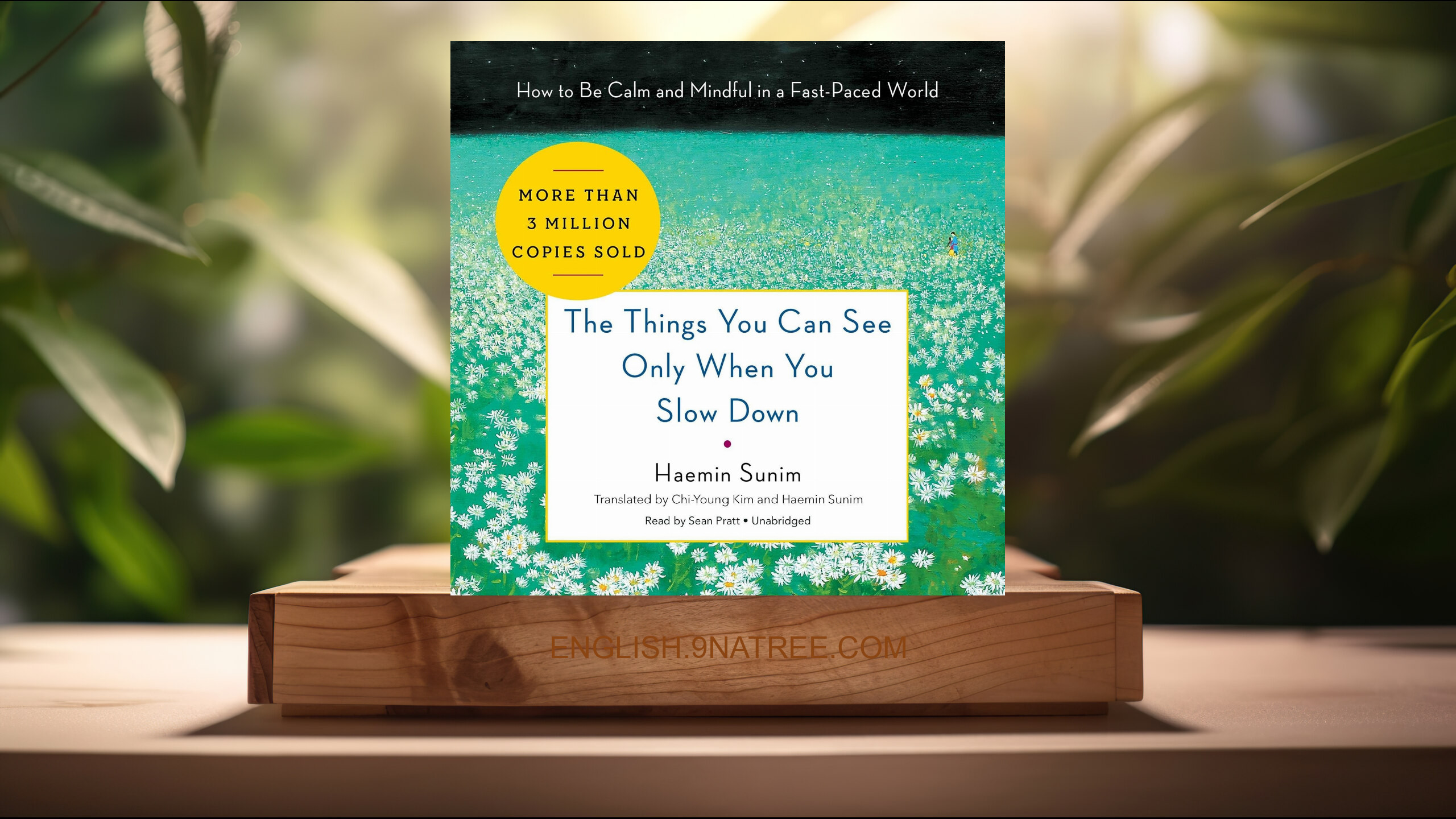 [Review] The Things You Can See Only When You Slow Down (Haemin Sunim) Summarized.