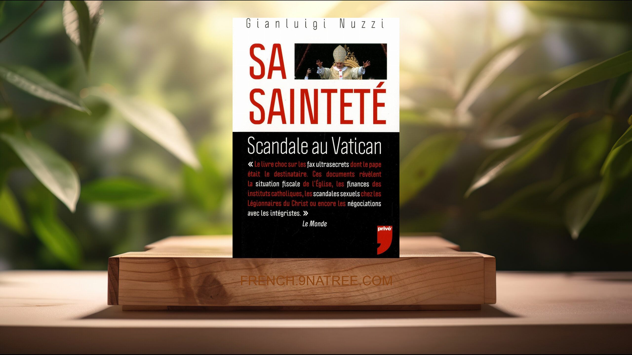 [Critique] Sa Sainteté : Scandale au Vatican (Gianluigi Nuzzi) Résumé.