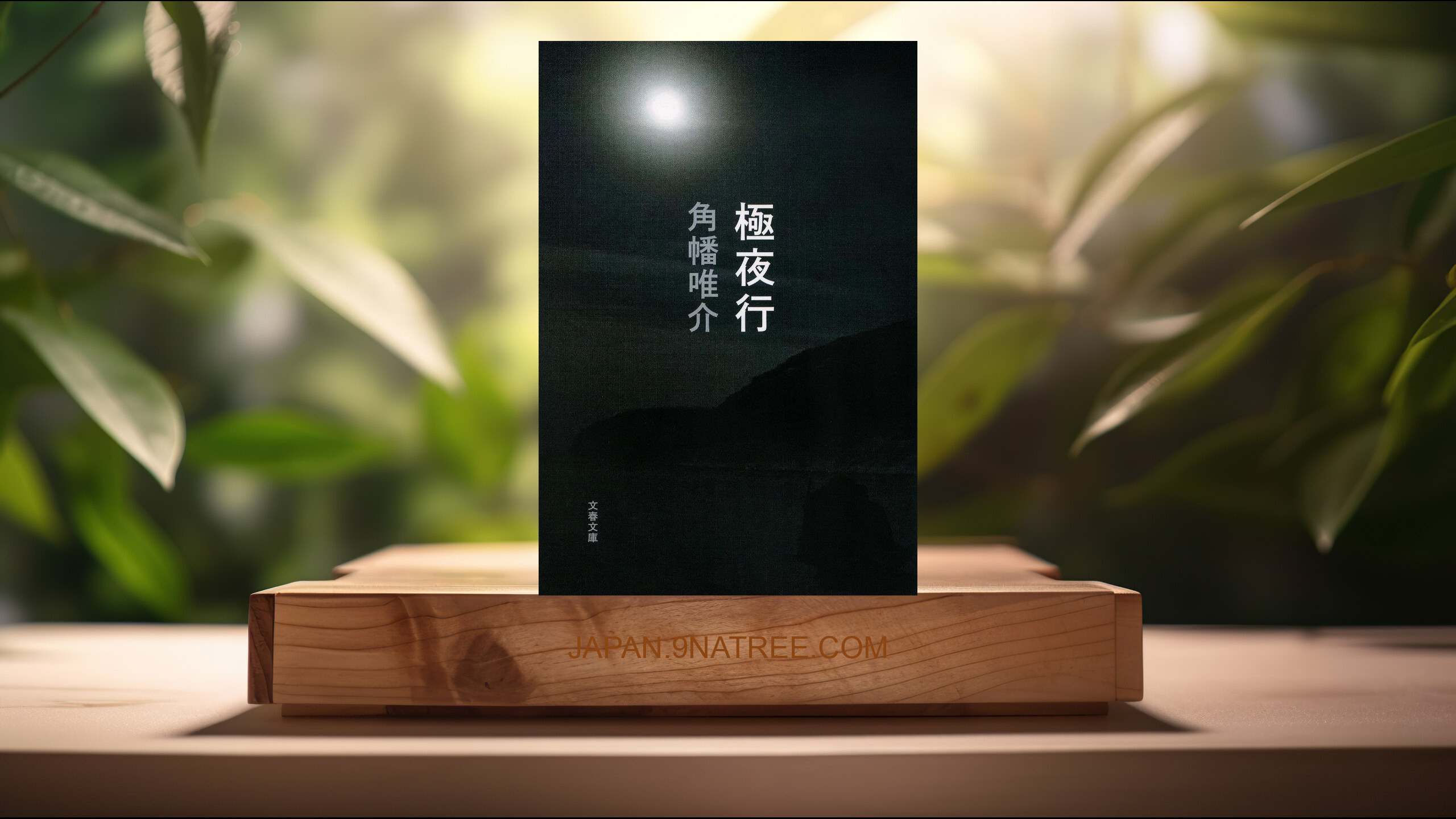 [レビュー] 極夜行  (角幡 唯介) 要約した.