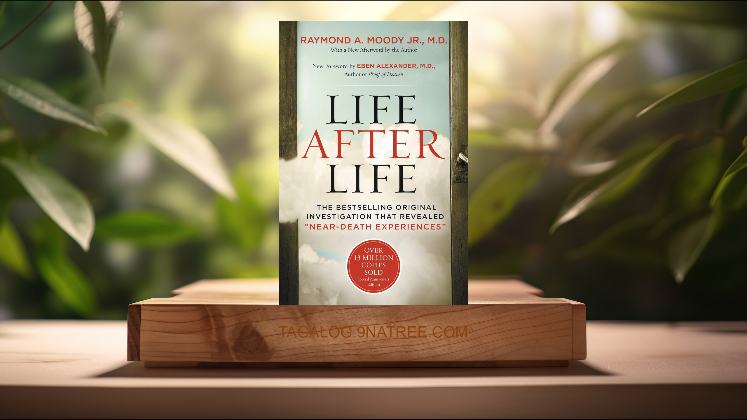 [Pagsusuri] Life After Life (Raymond Moody) Nabuod.