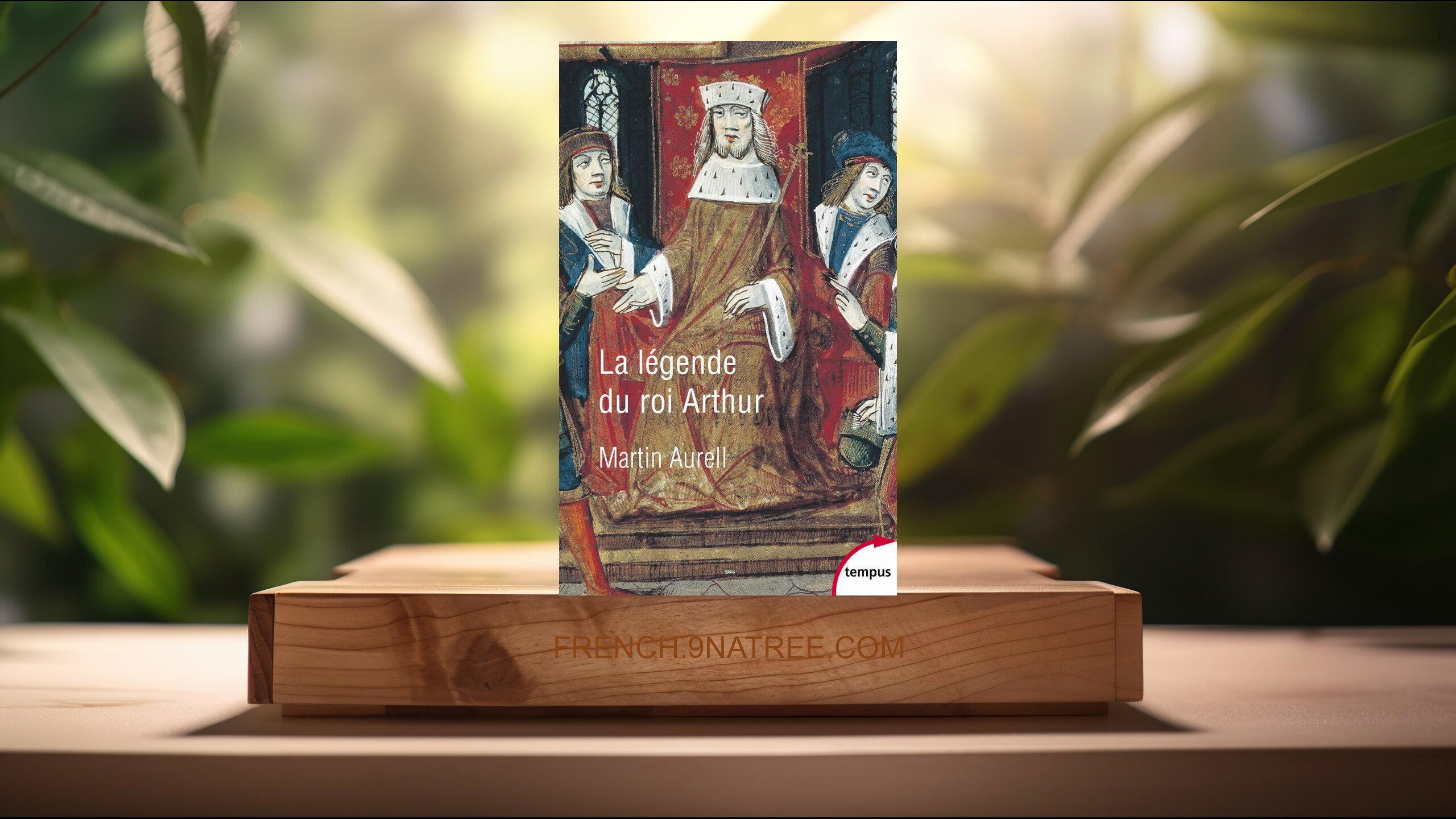 [Critique] La légende du roi Arthur (Martin Aurell) Résumé.