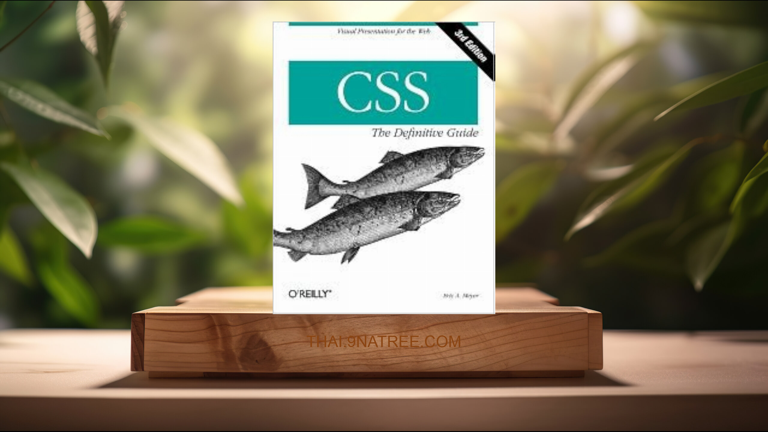 [รีวิว] CSS: The Definitive Guide 3th  edition Text Only (Eric A. Meyer) สรุปหนังสือ.