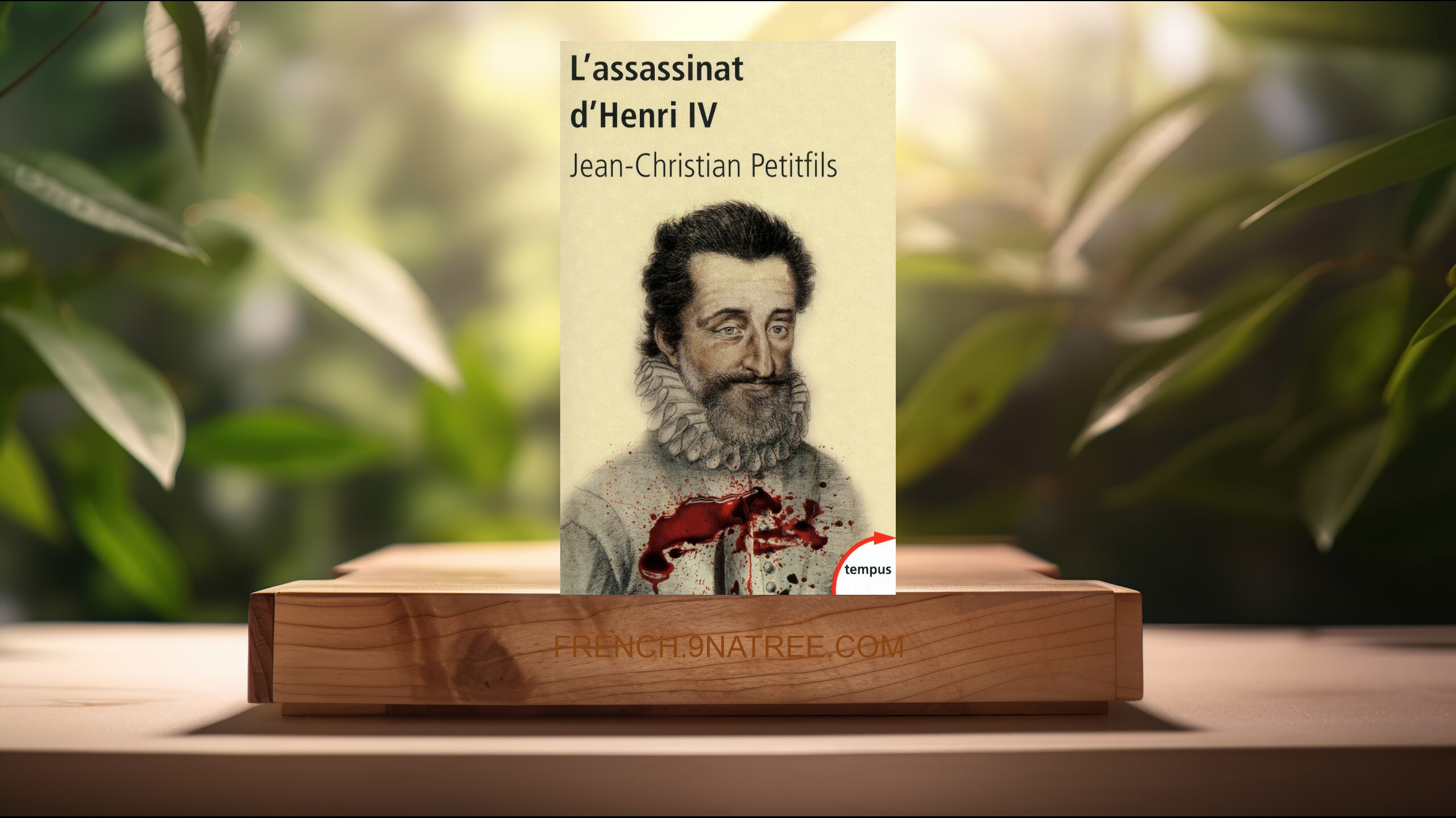 [Critique] L'assassinat d'henri iv  (Jean-Christian Petitfils) Résumé.