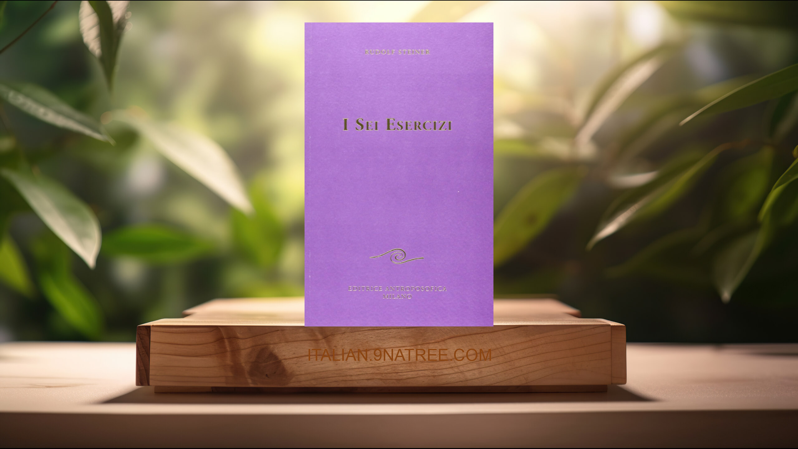 [Recensione] I sei esercizi (Rudolf Steiner) Riassunto.