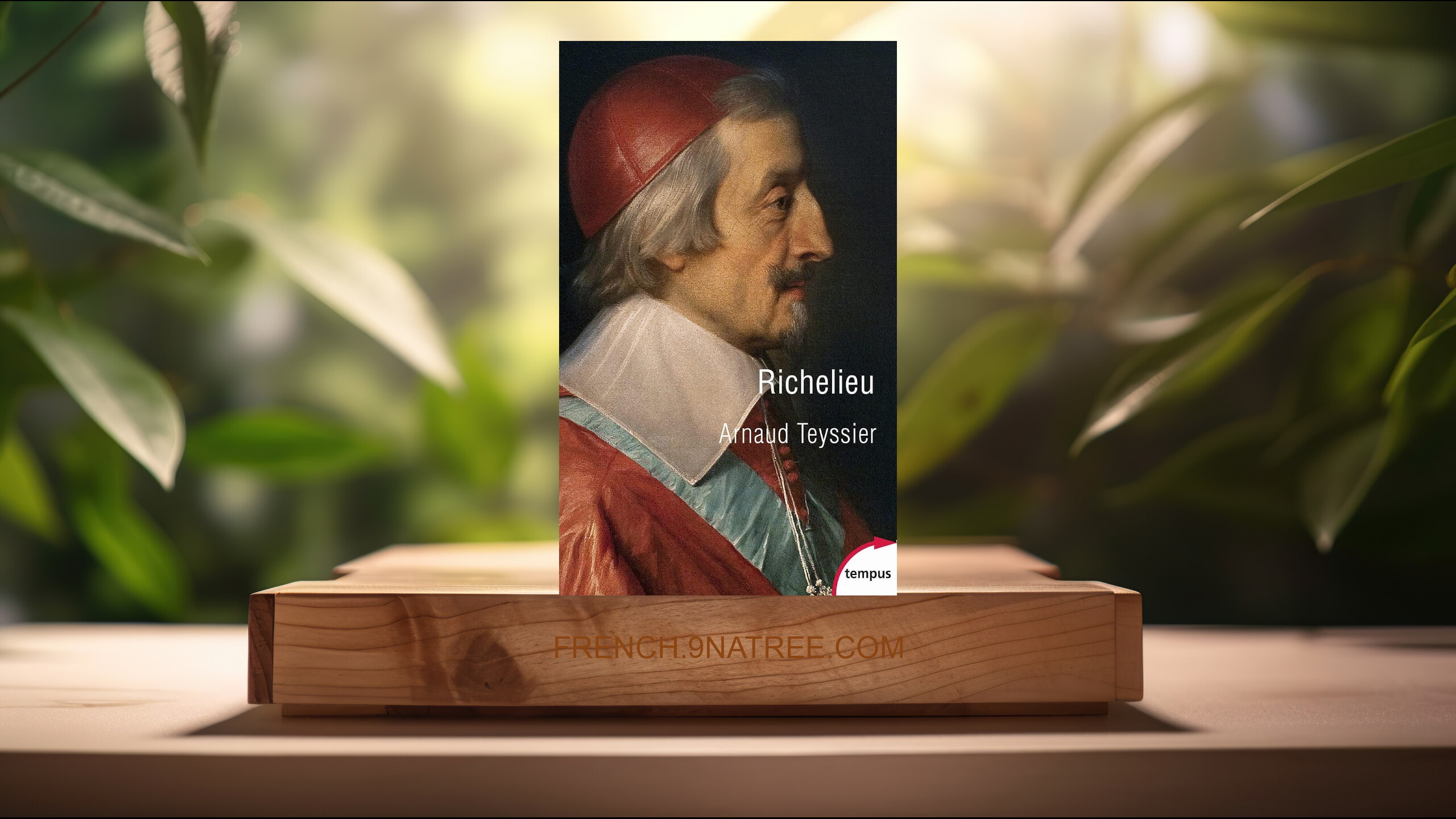 [Critique] Richelieu: L'aigle et la colombe (Arnaud Teyssier) Résumé.