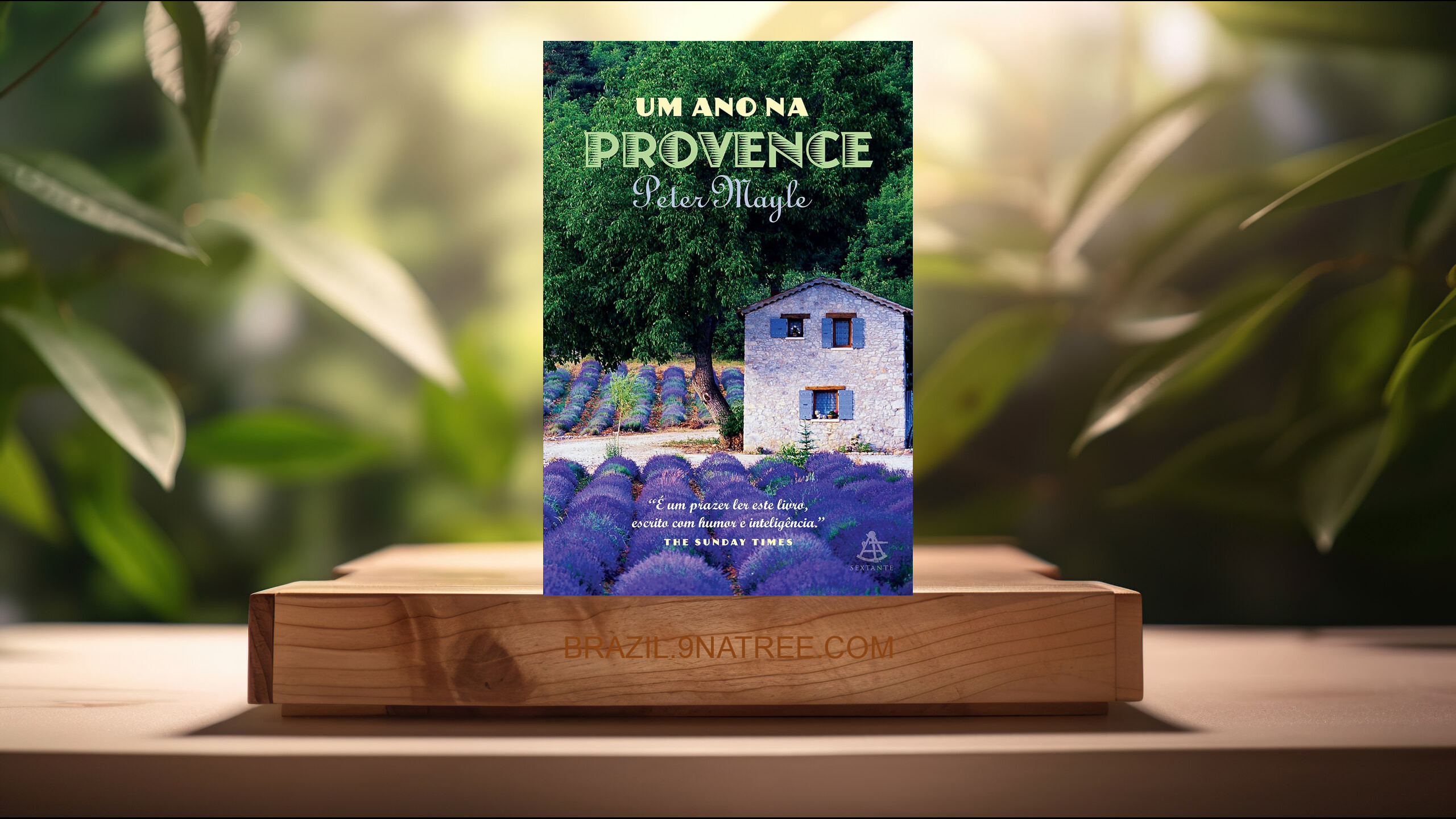 [Análises] Um ano na Provence (Peter Mayle) Resumidos.