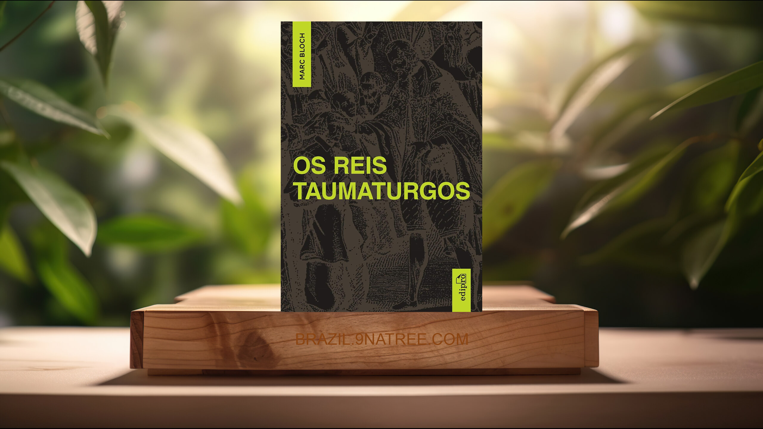 [Análises] March Bloch - Os Reis Taumaturgos (Marc Bloch) Resumidos.