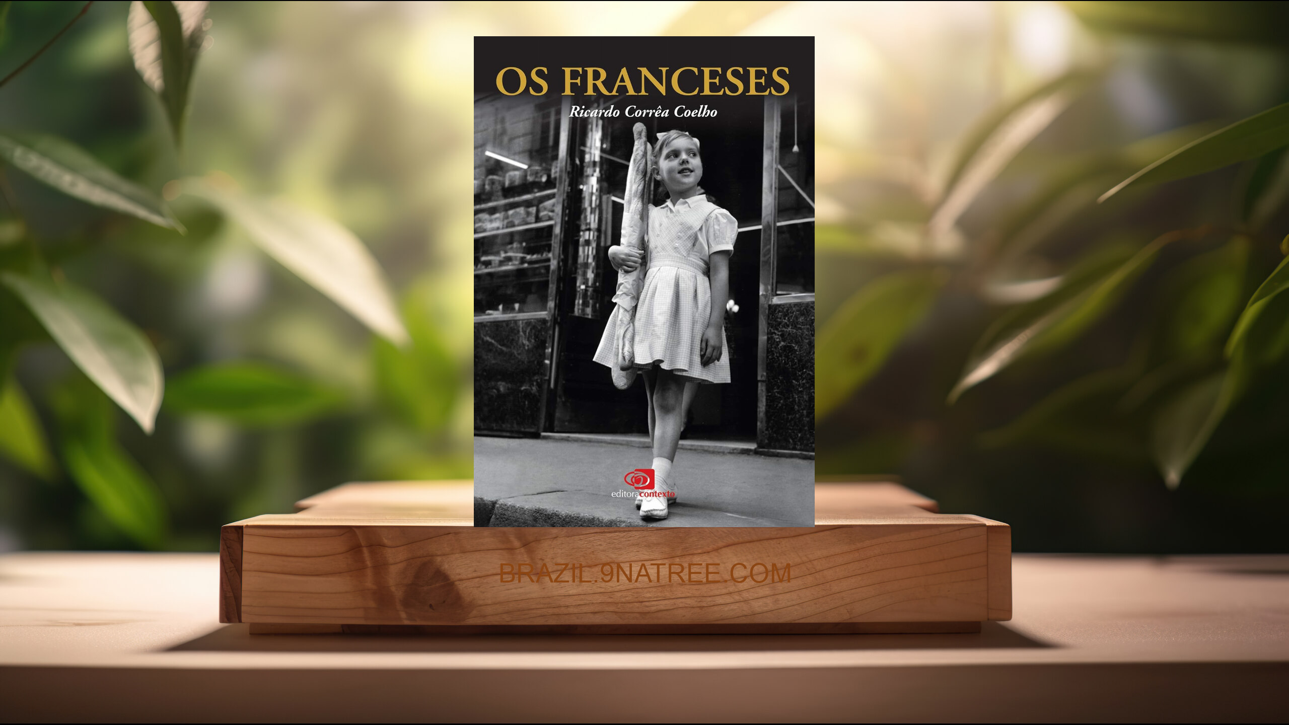 [Análises] Os franceses (Ricardo Correa Coelho) Resumidos.