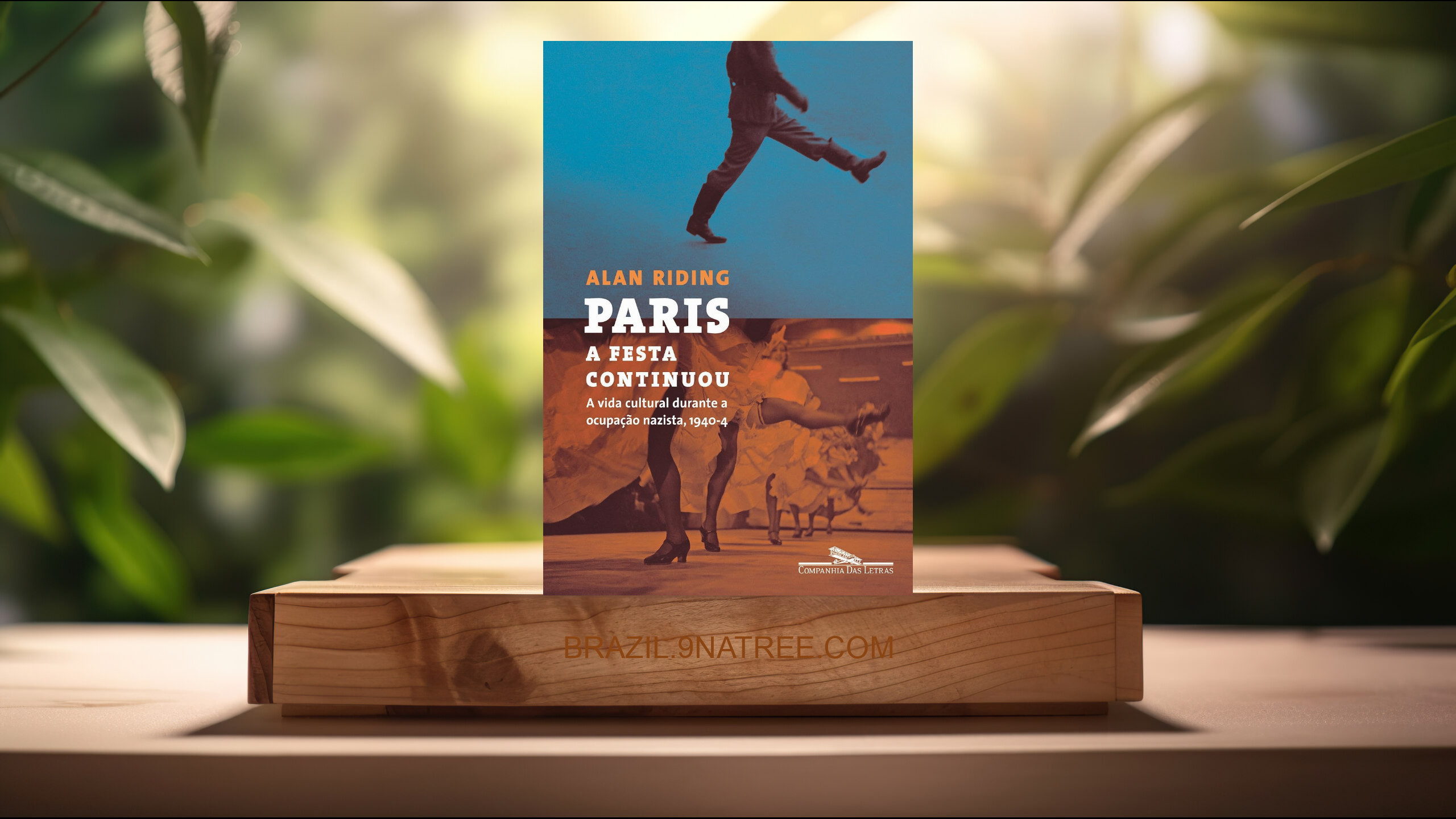 [Análises] Paris: a festa continuou (Alan Riding) Resumidos.