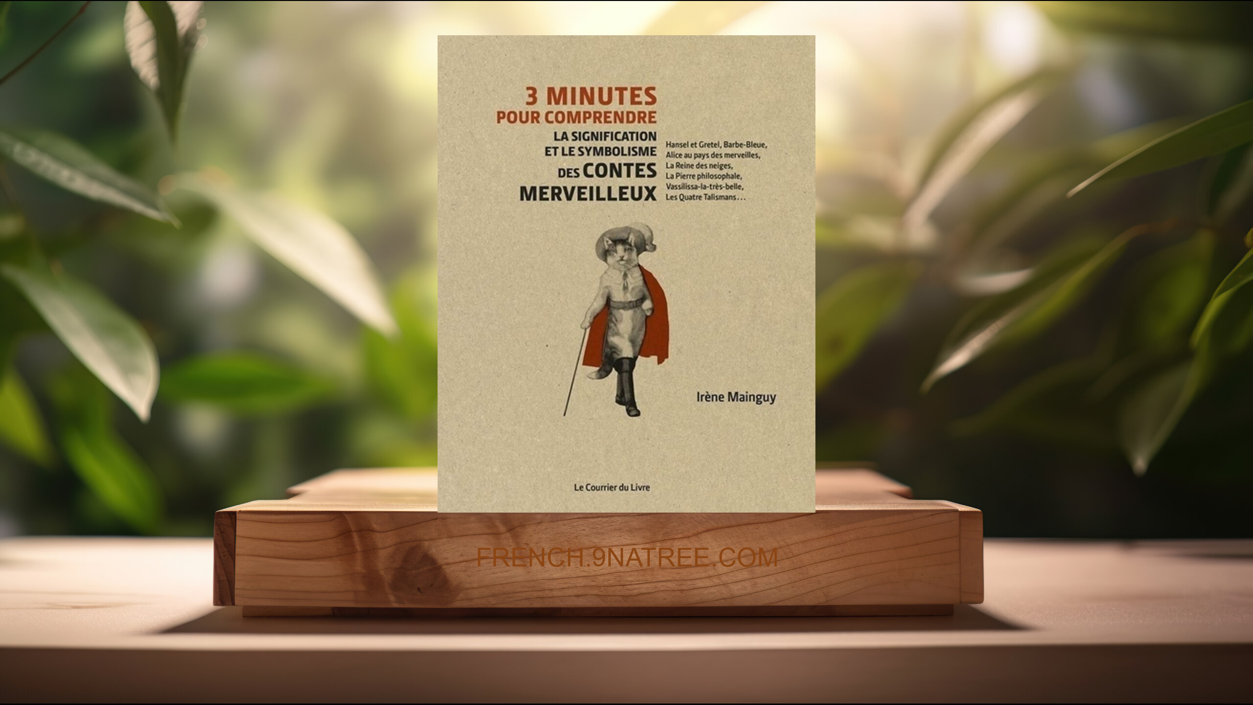 [Critique] 3 minutes pour comprendre la signification et le symbolisme des contes merveilleux (Irène Mainguy) Résumé.