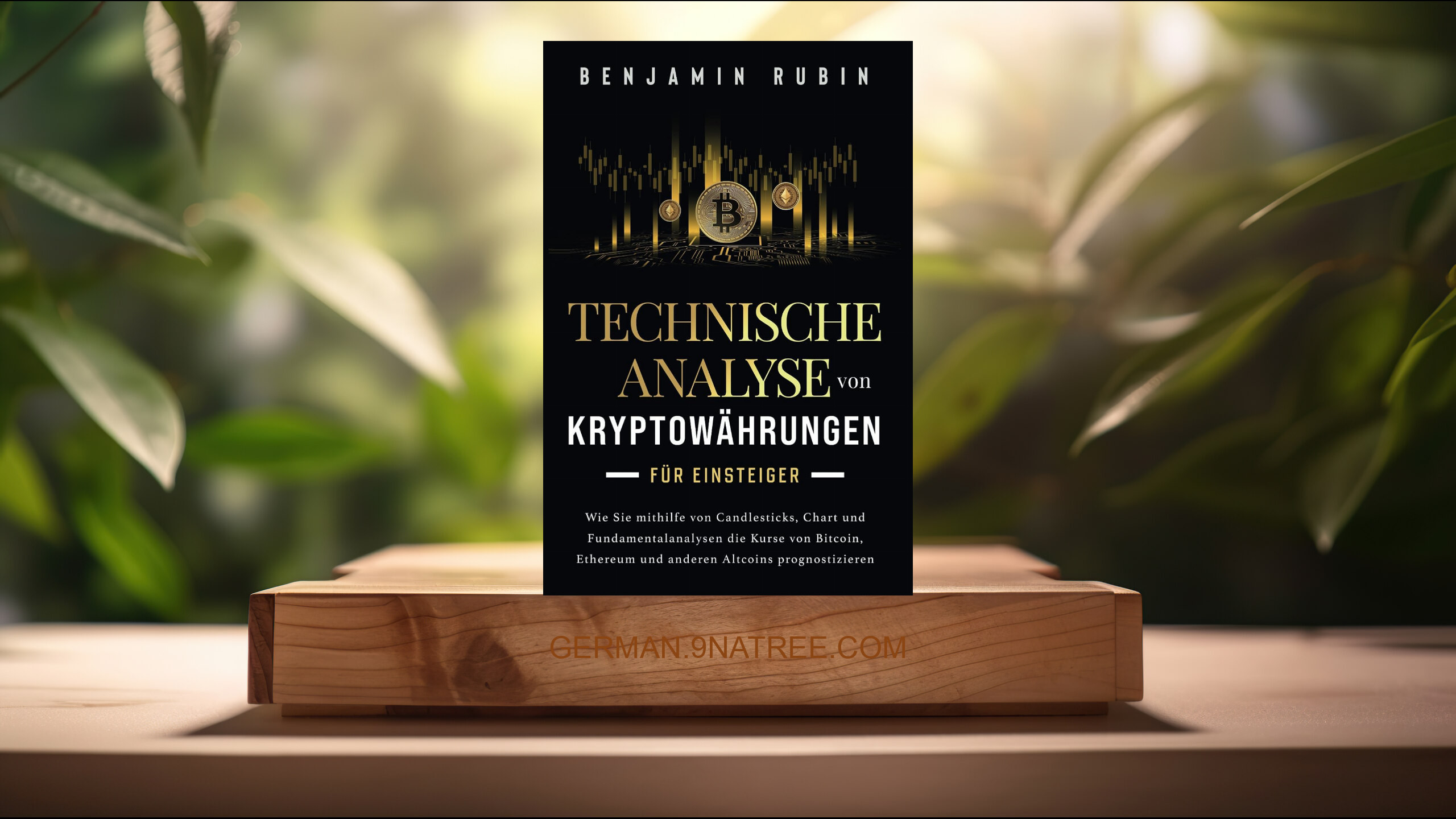 [Rezensiert] Technische Analyse von Kryptowährungen für Einsteiger (Benjamin Rubin) Zusammengefasst.