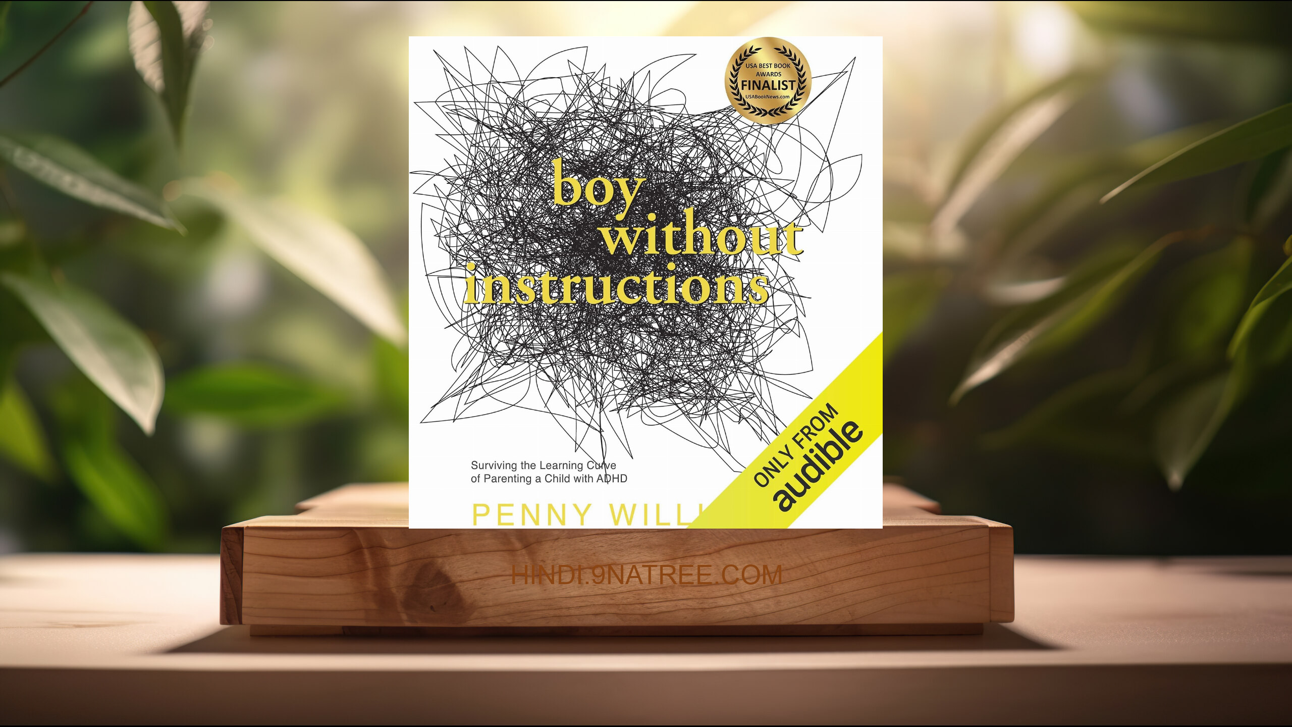 [समीक्षा] Boy Without Instructions (Penny Williams) सारांशित.