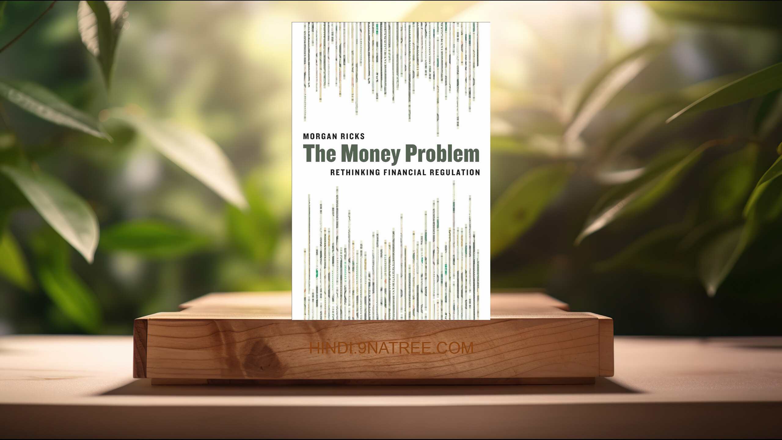 [समीक्षा] The Money Problem: Rethinking Financial Regulation (Morgan Ricks) सारांशित.