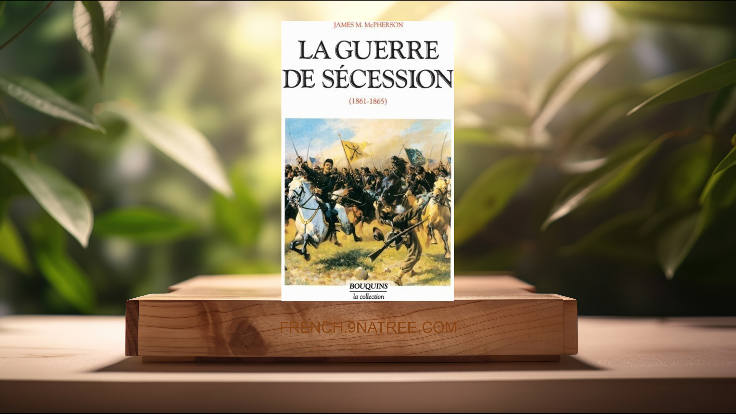 [Critique] La guerre de Sécession, 1861-1865 (James M. McPherson) Résumé.