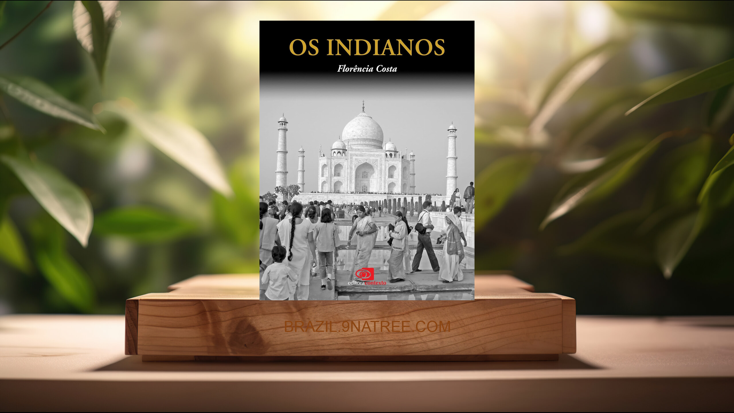 [Análises] Os Indianos (Florência Costa) Resumidos.