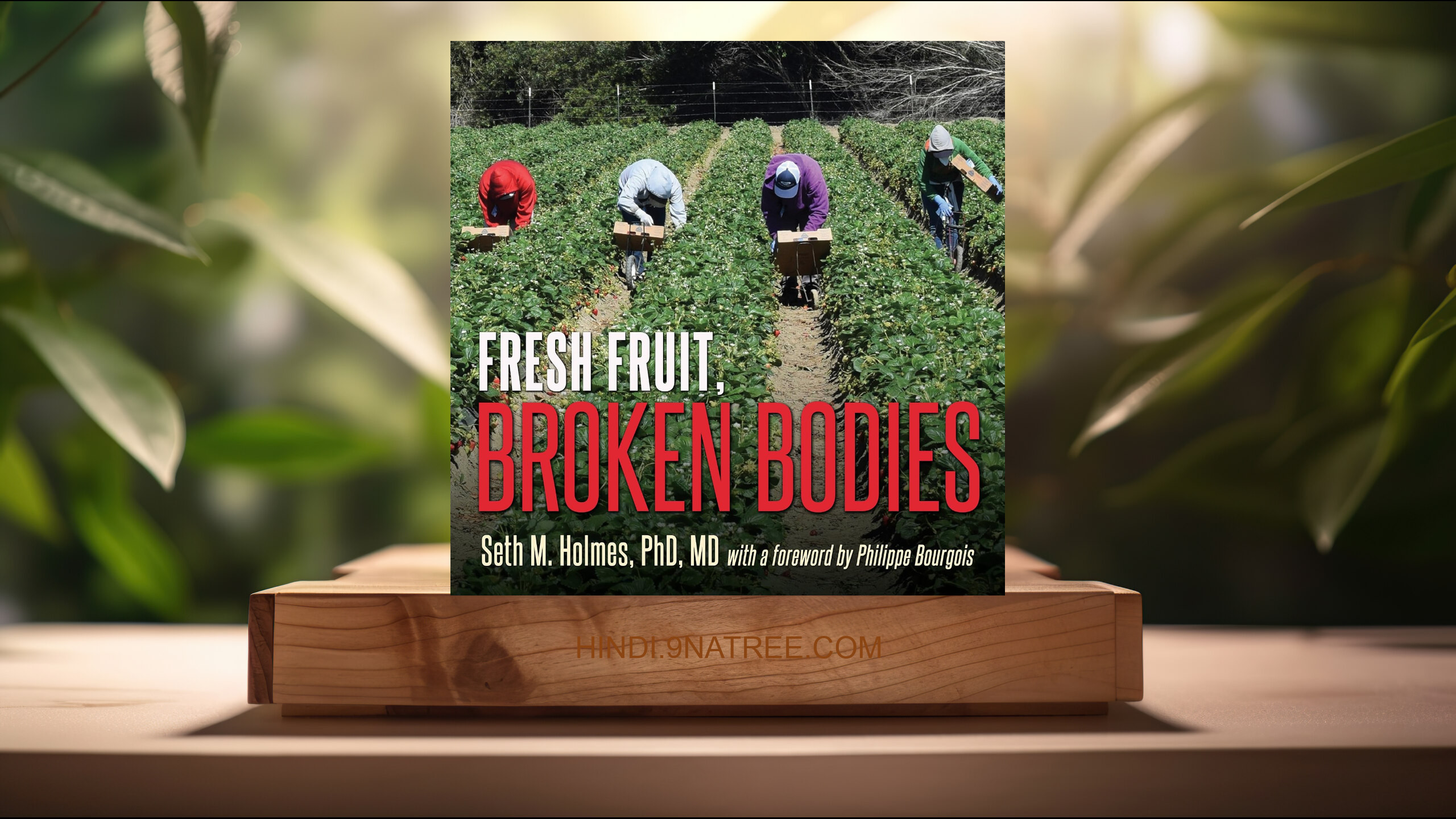 [समीक्षा] Fresh Fruit, Broken Bodies: Migrant Farmworkers in the United States (Seth Holmes) सारांशित.