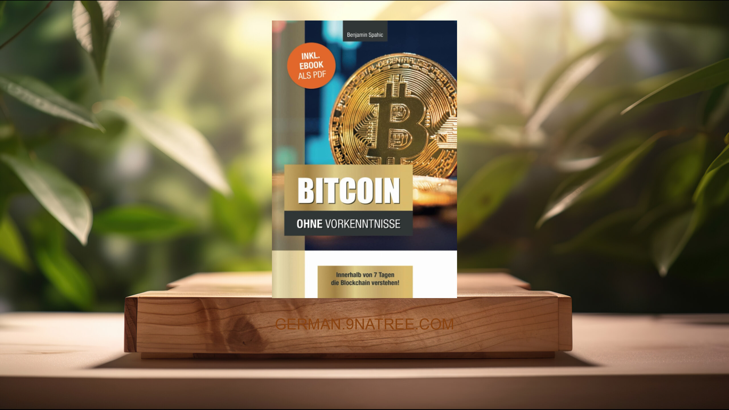 [Rezensiert] Bitcoin ohne Vorkenntnisse (Benjamin Spahic) Zusammengefasst.