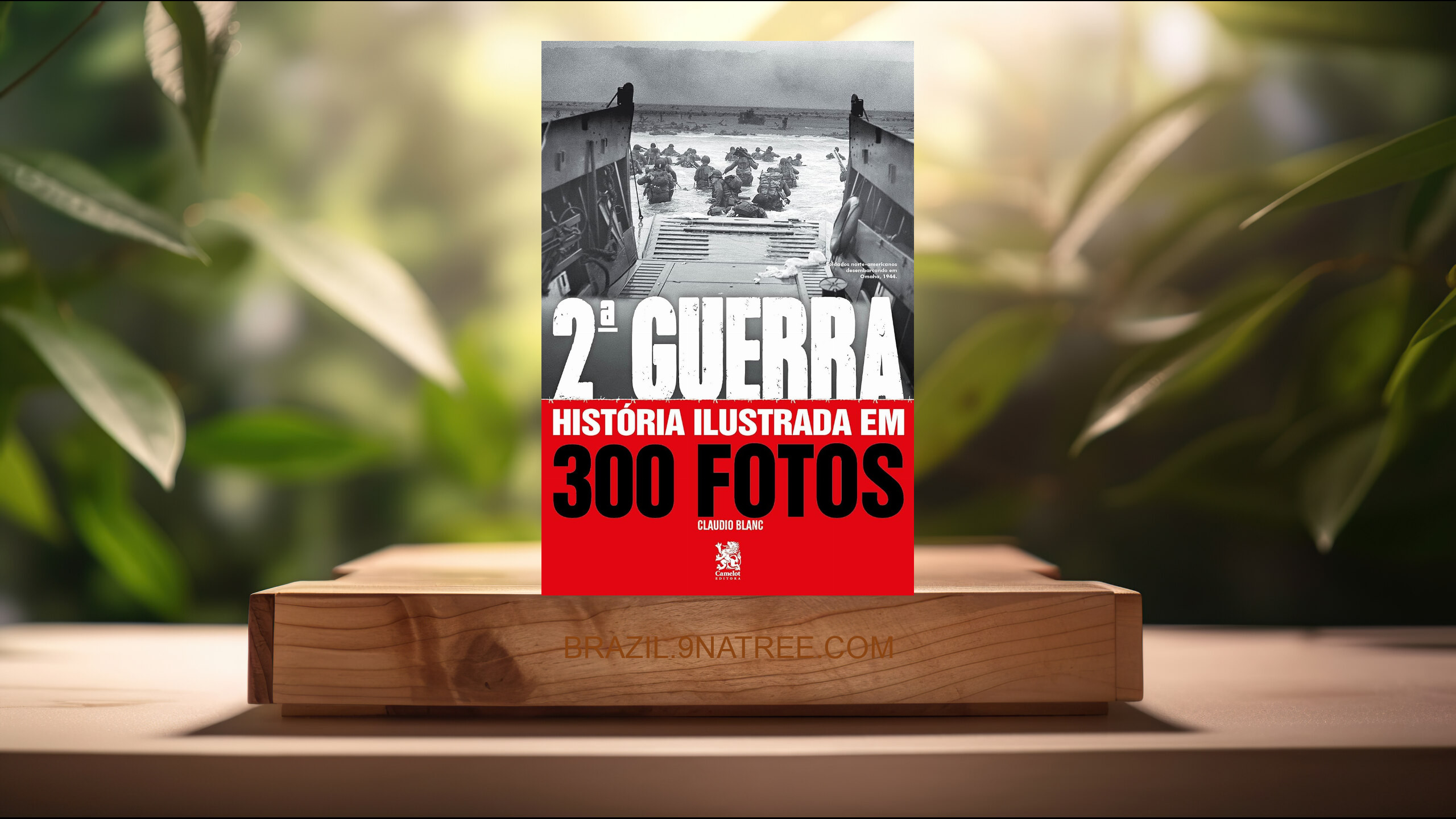 [Análises] Segunda Guerra História Ilustrada em 300 Fotos (Cláudio Blanc) Resumidos.