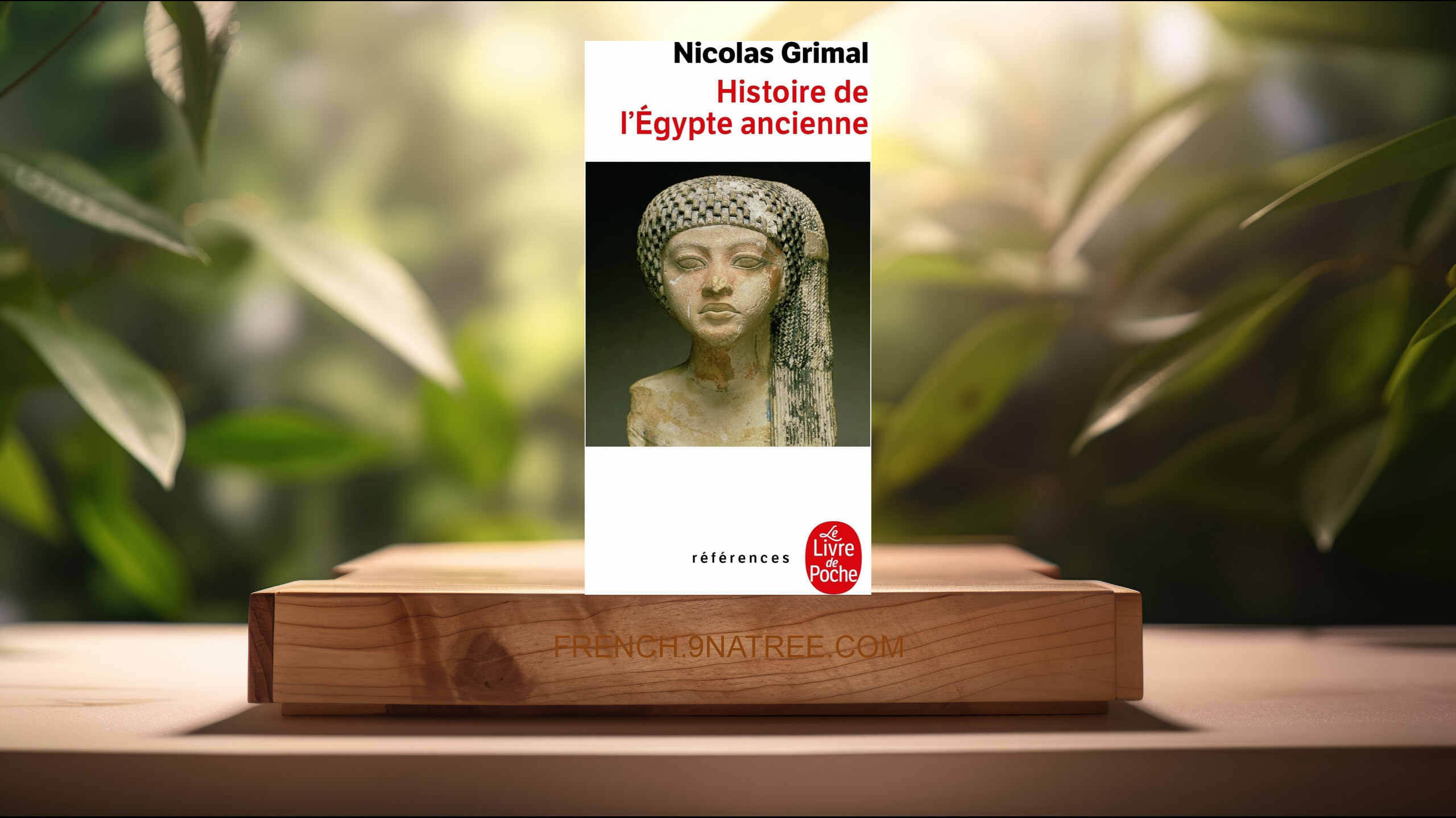 [Critique] Histoire de l'Egypte ancienne (Nicolas Grimal) Résumé.