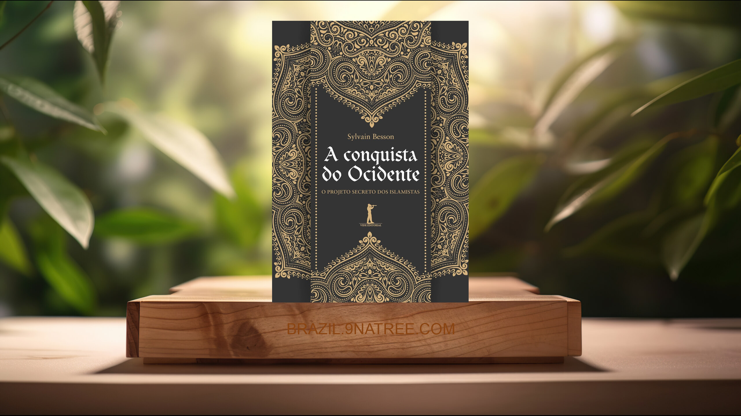 [Análises] A Conquista do Ocidente (Sylvain Besson) Resumidos.