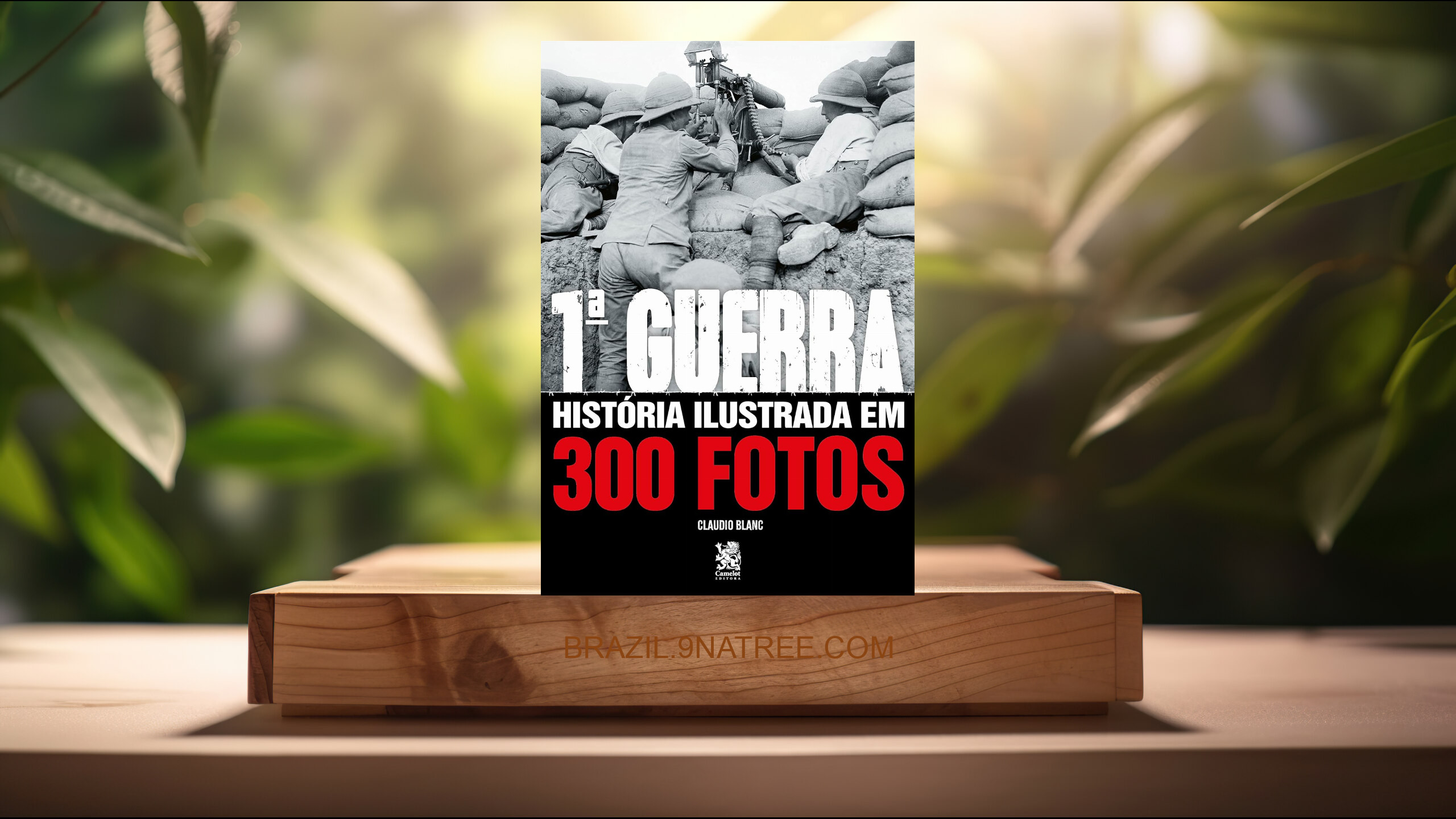 [Análises] Primeira Guerra História Ilustrada em 300 Fotos (Cláudio Blanc) Resumidos.