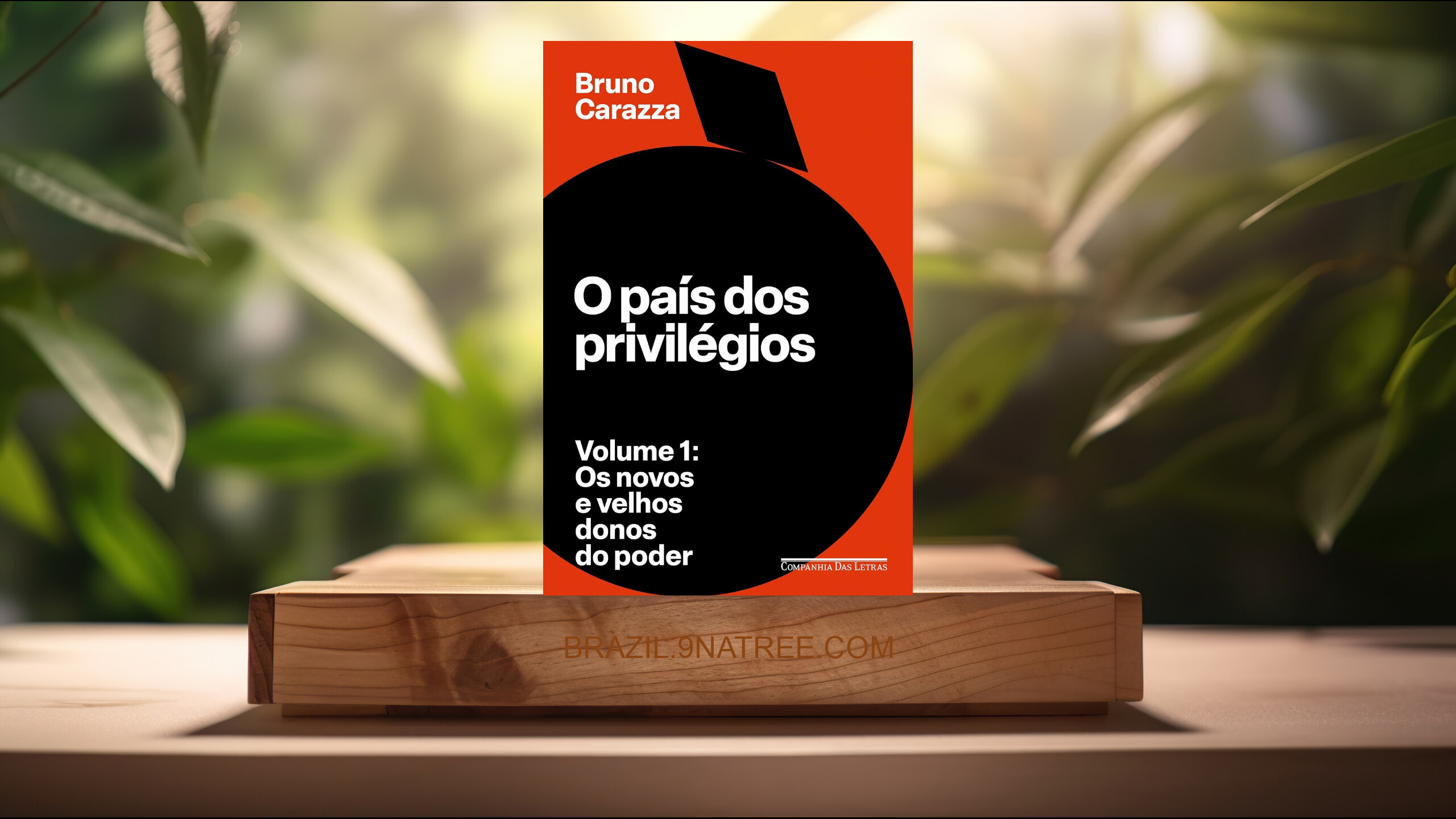 [Análises] O país dos privilégios – Volume 1 (Bruno Carazza) Resumidos.