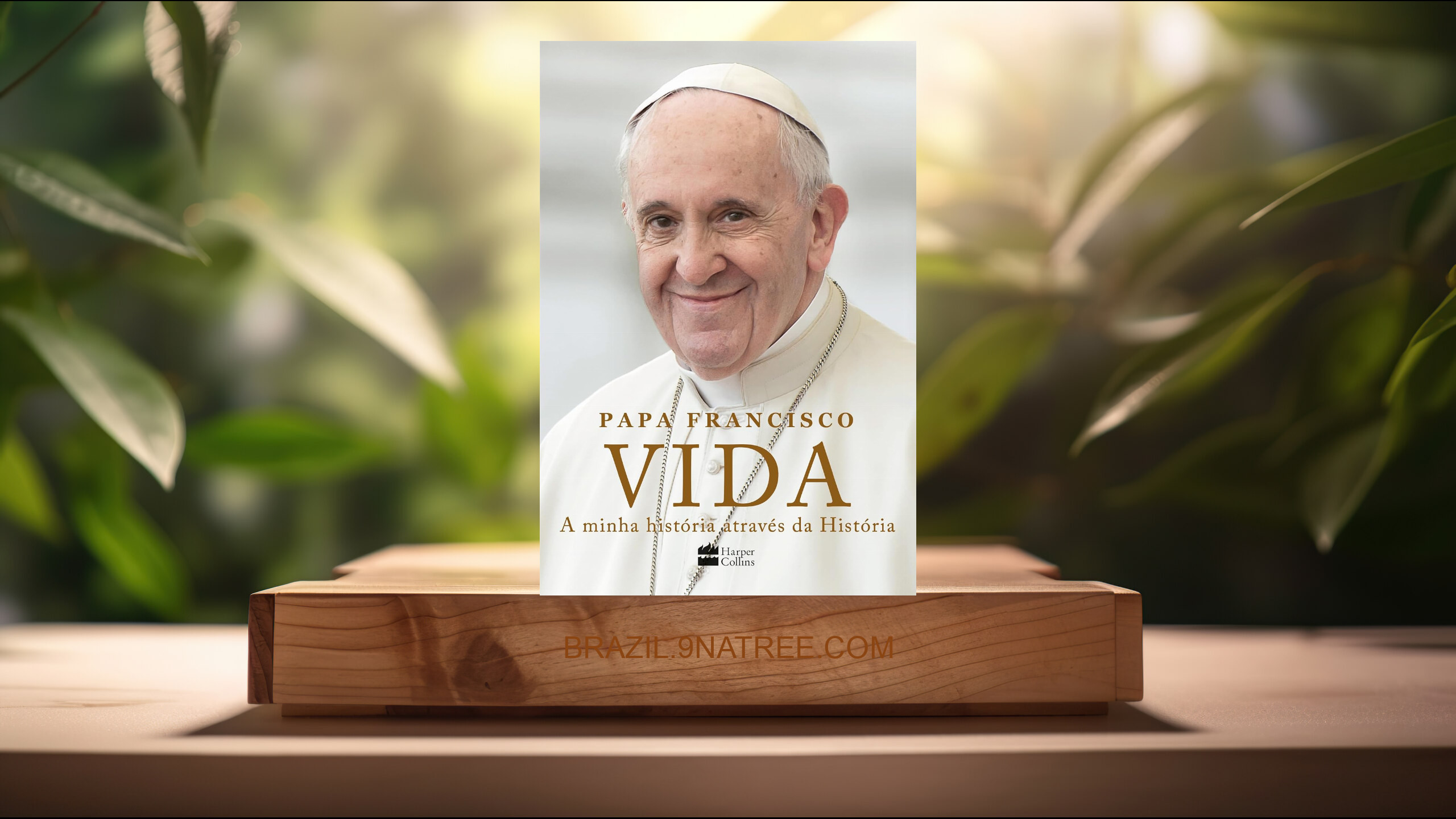 [Análises] Vida (Papa Francisco) Resumidos.