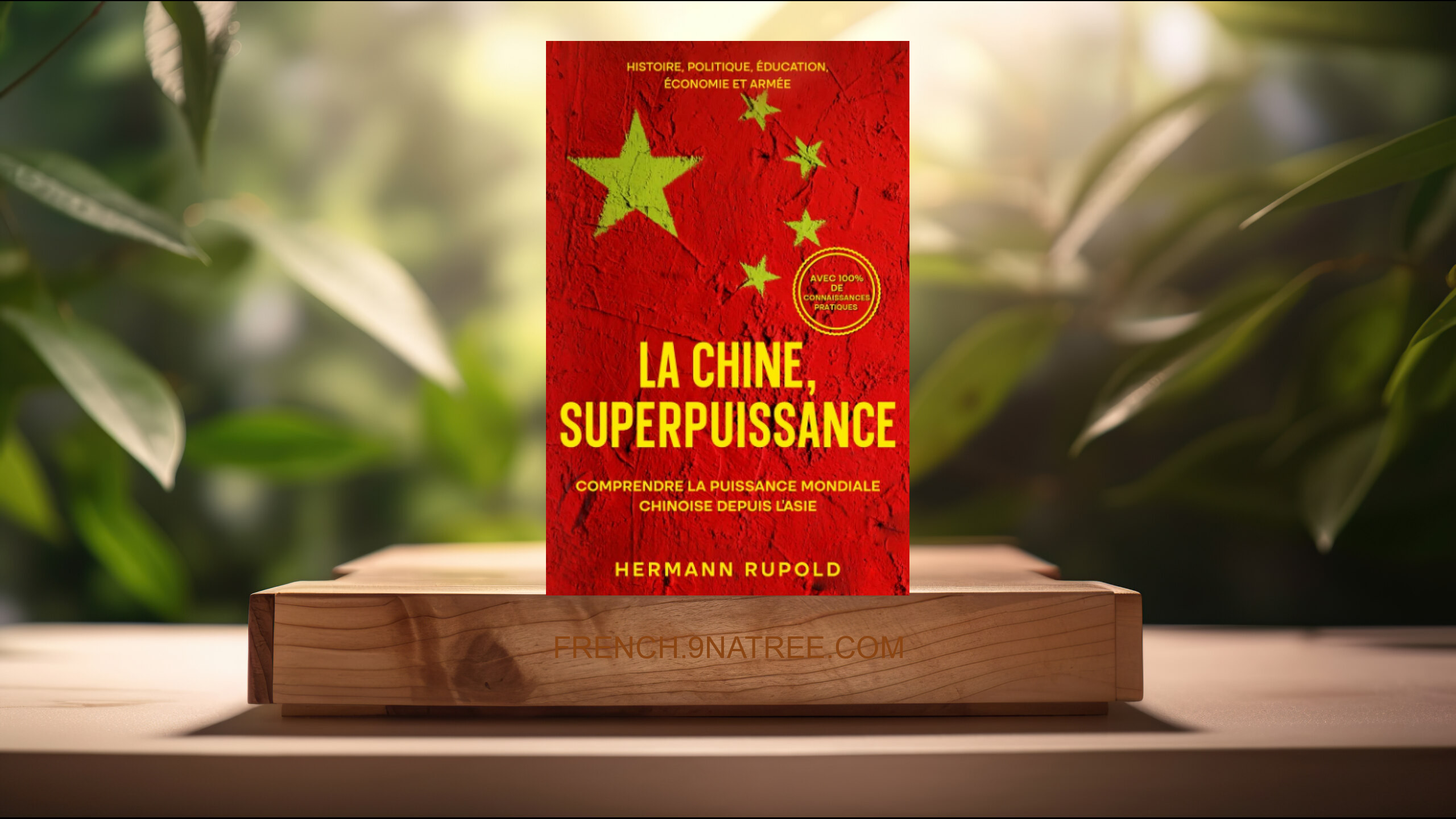 [Critique] La Chine, superpuissance - Comprendre la puissance mondiale chinoise depuis l'Asie (Hermann Rupold) Résumé.