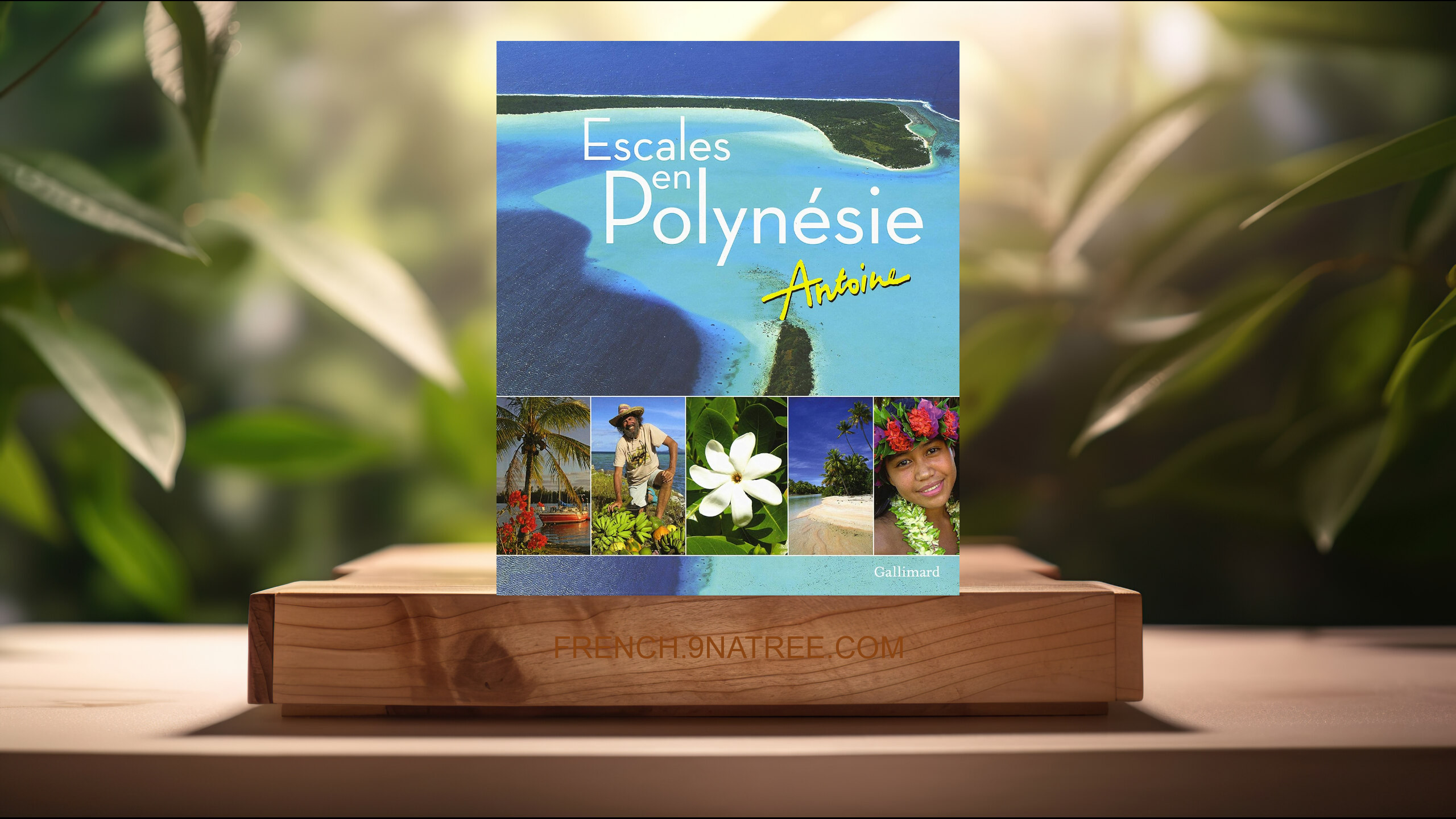 [Critique] Escales en Polynésie (Antoine) Résumé.