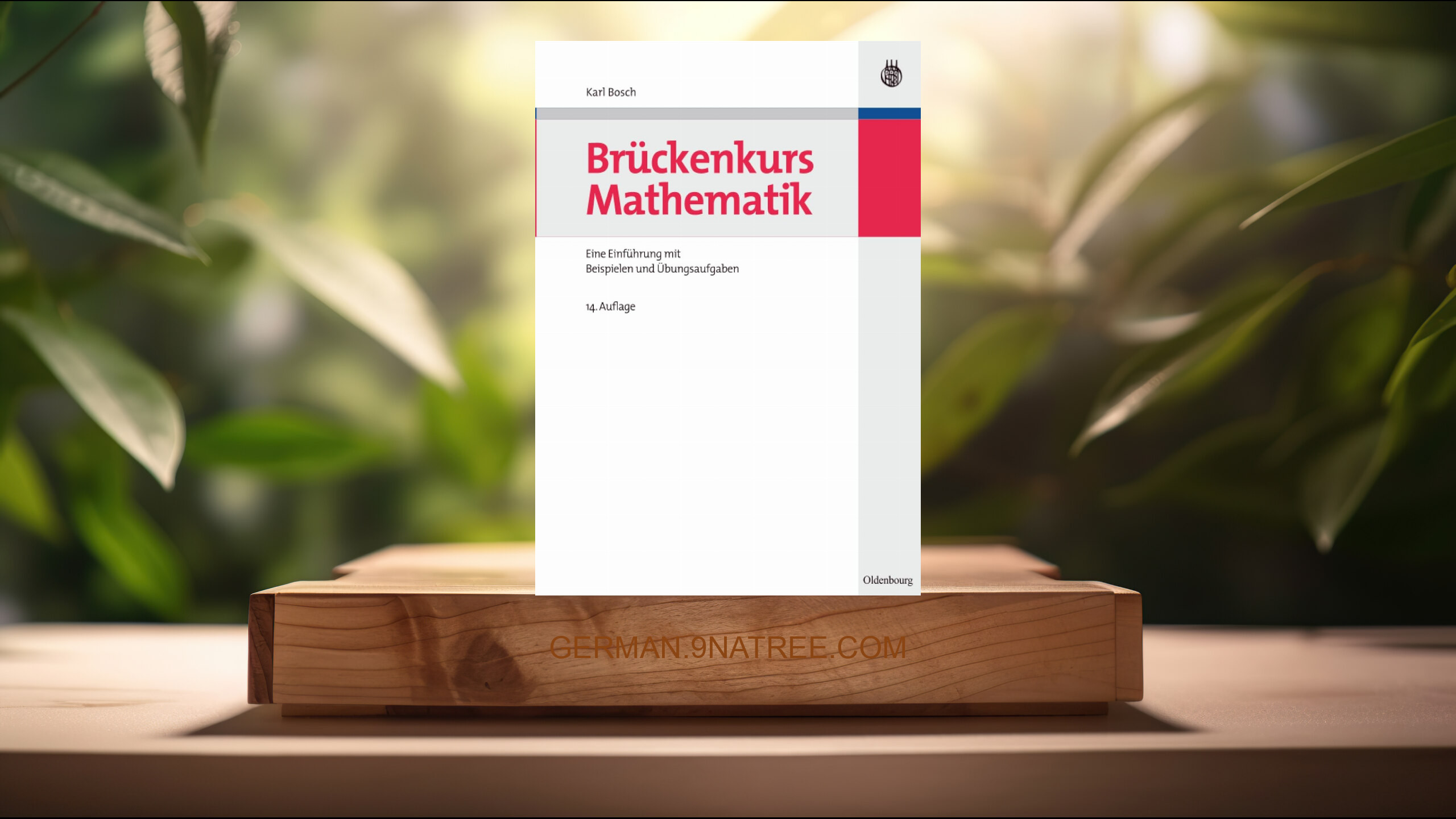 [Rezensiert] Bruckenkurs Mathematik (Karl Bosch) Zusammengefasst.