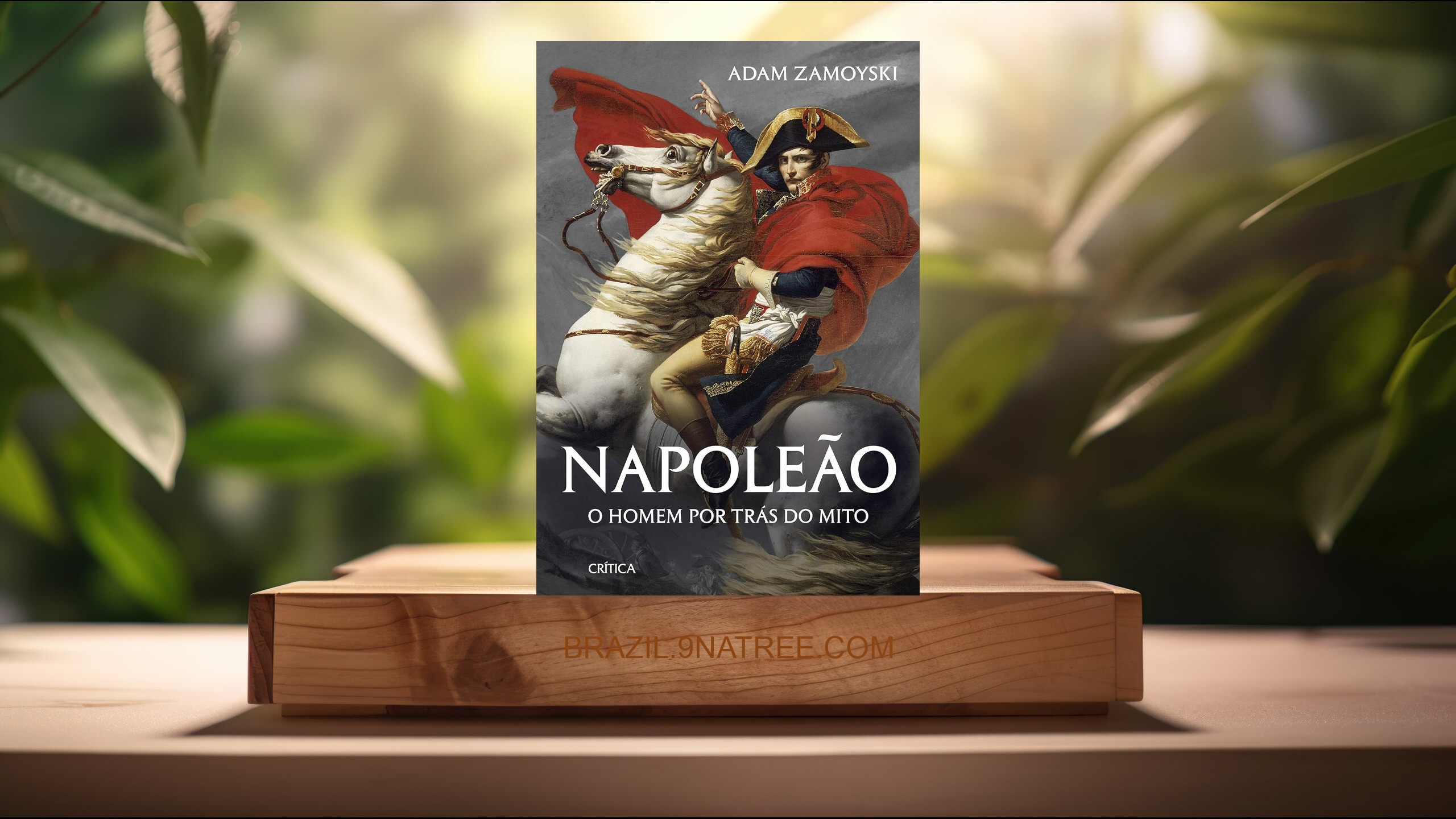 [Análises] Napoleão: O homem por trás do mito (Adam Zamoyski) Resumidos.