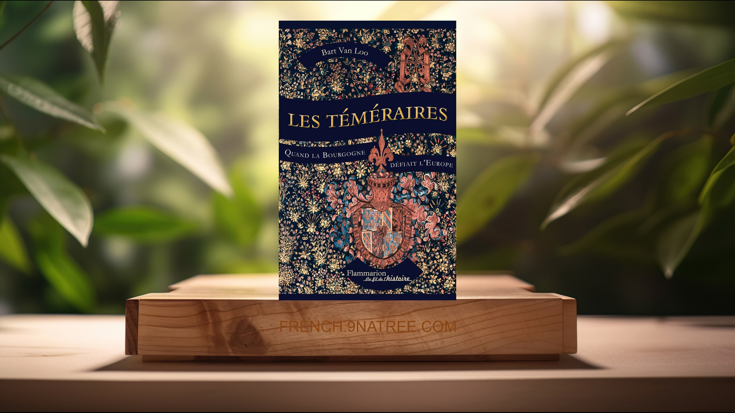 [Critique] Les Téméraires: Quand la Bourgogne défiait l'Europe (Bart Van Loo) Résumé.