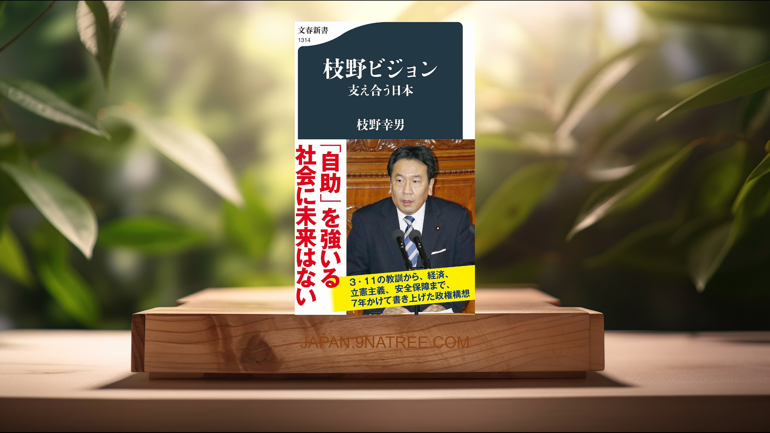 [レビュー] 枝野ビジョン 支え合う日本  (枝野 幸男) 要約した.