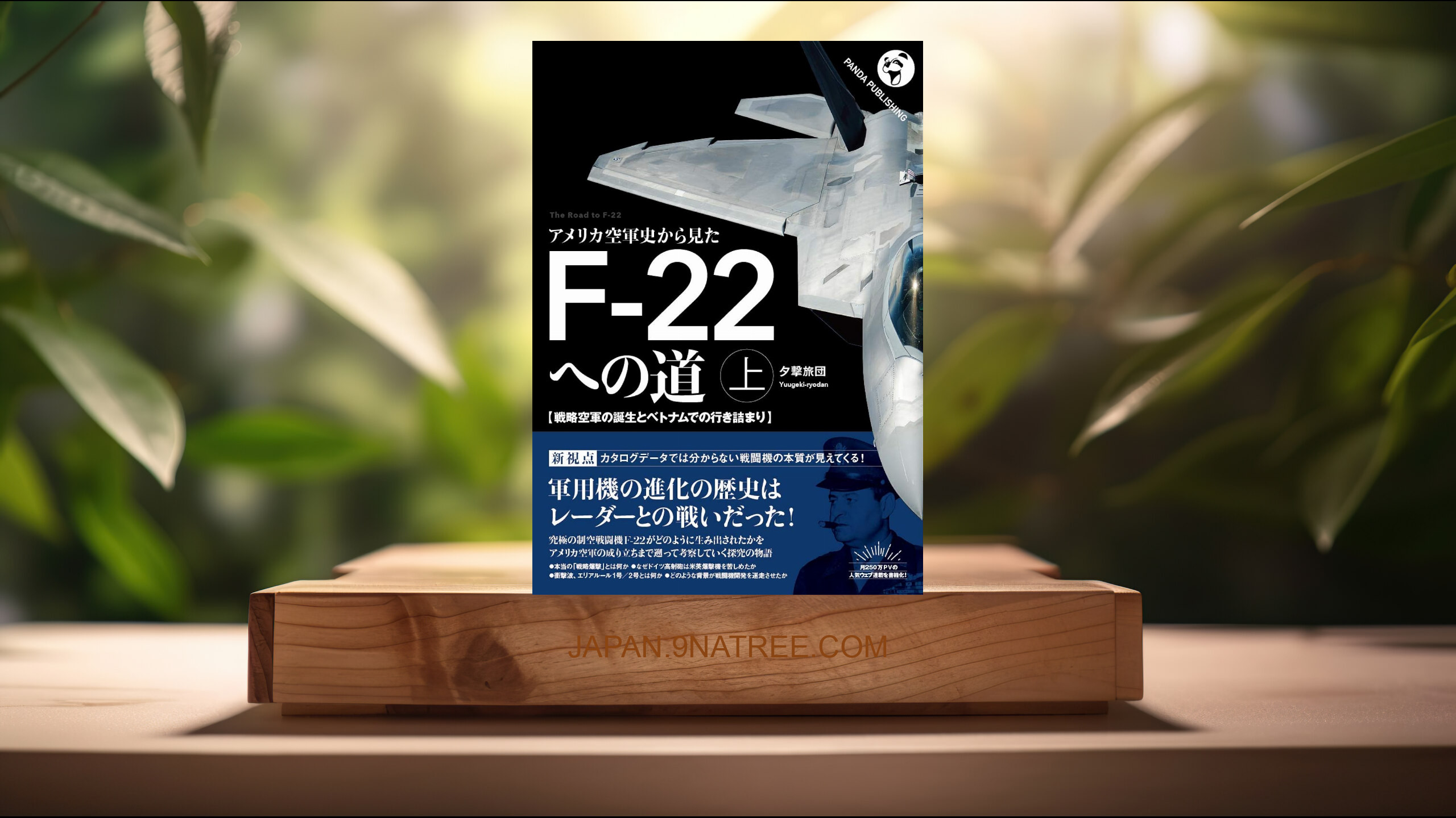 [レビュー] アメリカ空軍史から見た F-22への道──戦略空軍の誕生とベトナムでの行き詰まり (夕撃旅団) 要約した.