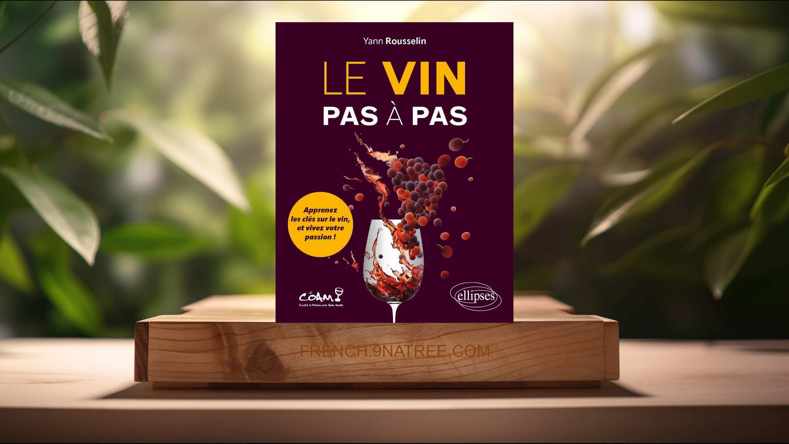 [Critique] Le vin pas à pas (Yann Rousselin) Résumé.