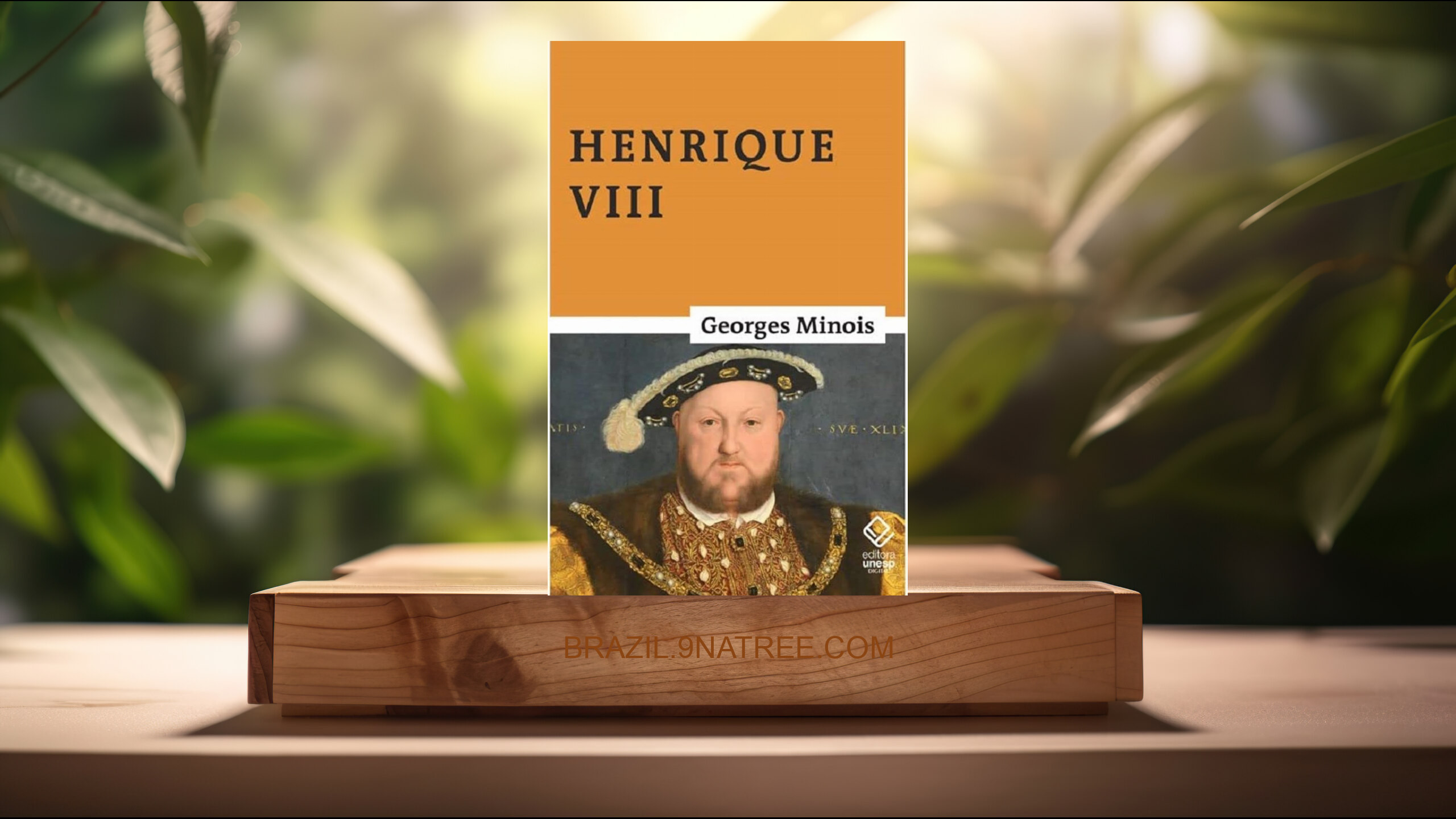 [Análises] Henrique VIII (Georges Minois) Resumidos.