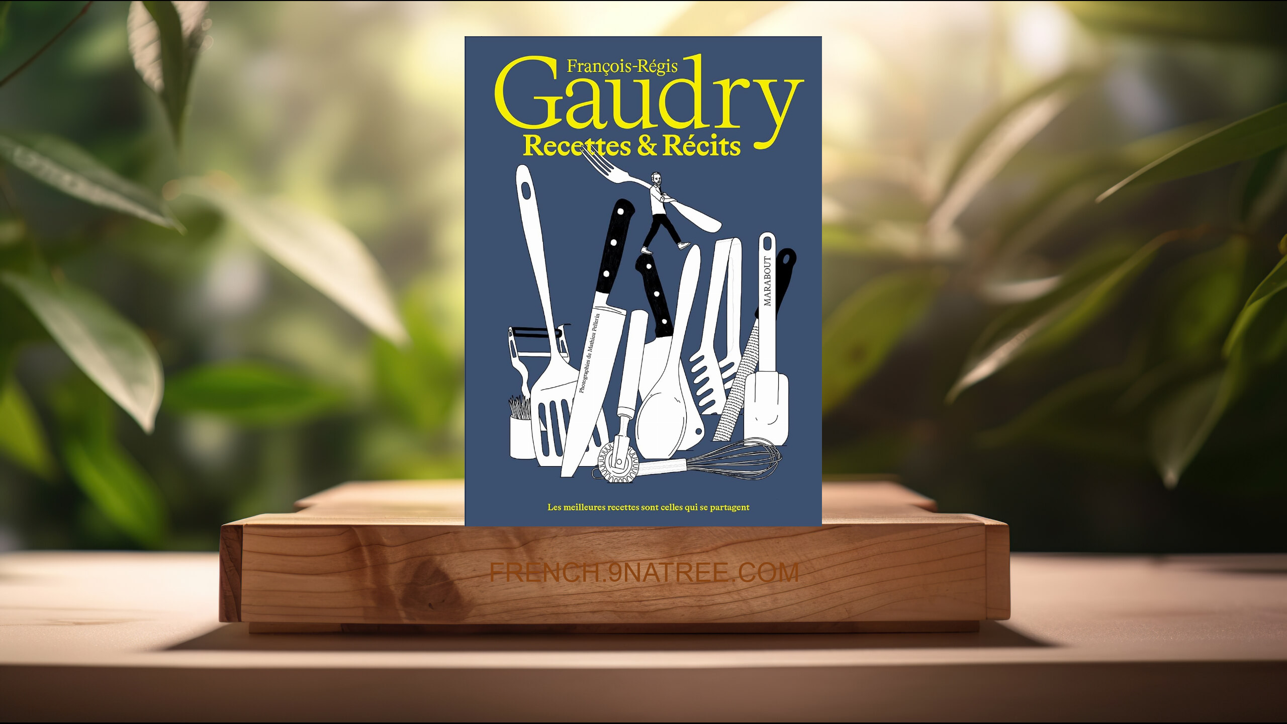[Critique] Recettes et récits (François-Régis Gaudry) Résumé.