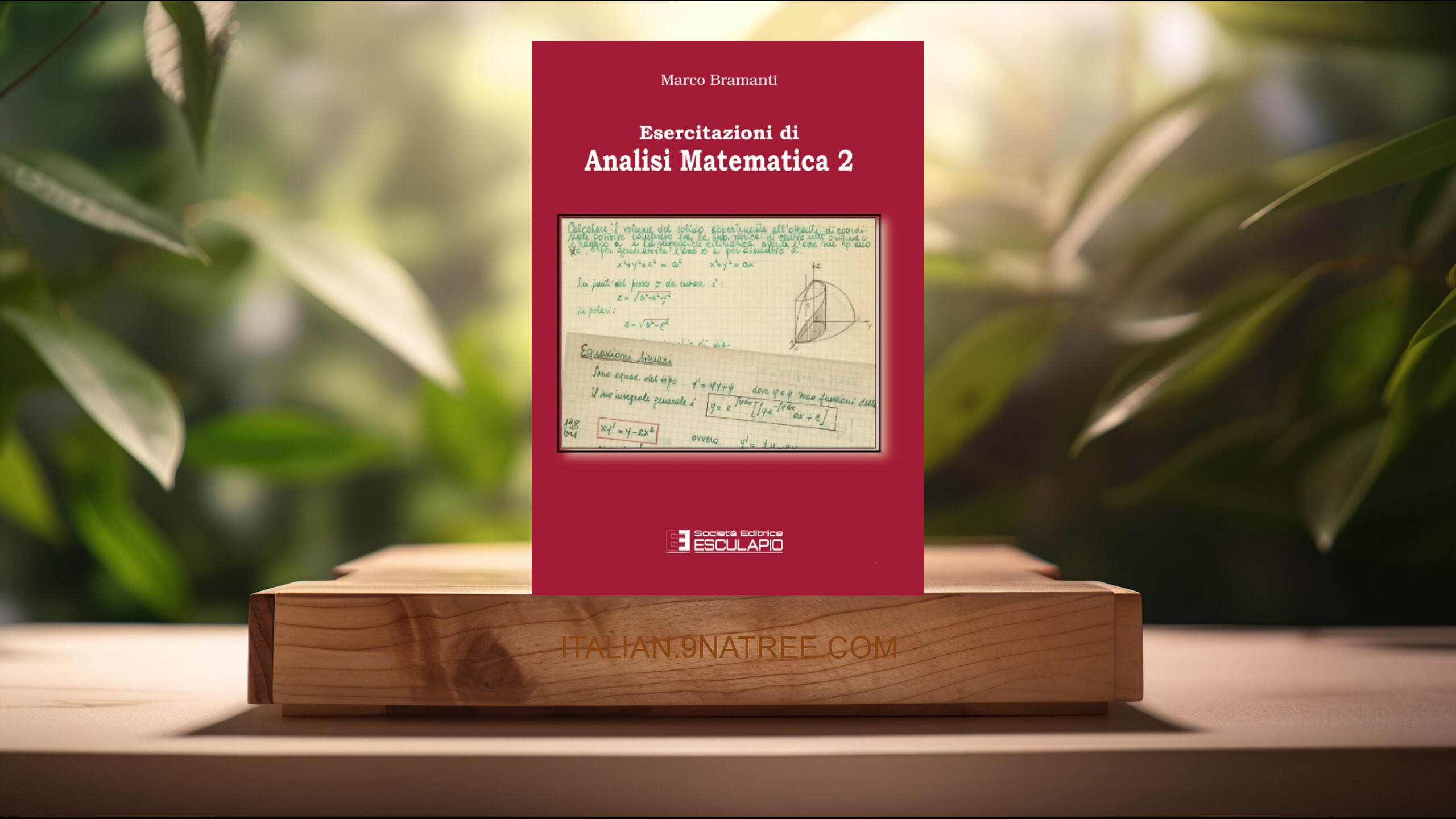 [Recensione] Esercitazioni di analisi matematica 2 (Marco Bramanti) Riassunto.