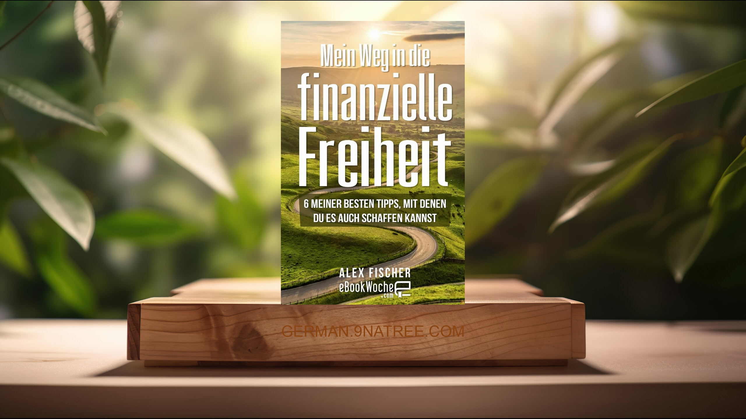 [Rezensiert] Mein Weg in die finanzielle Freiheit (Alex Fischer) Zusammengefasst.