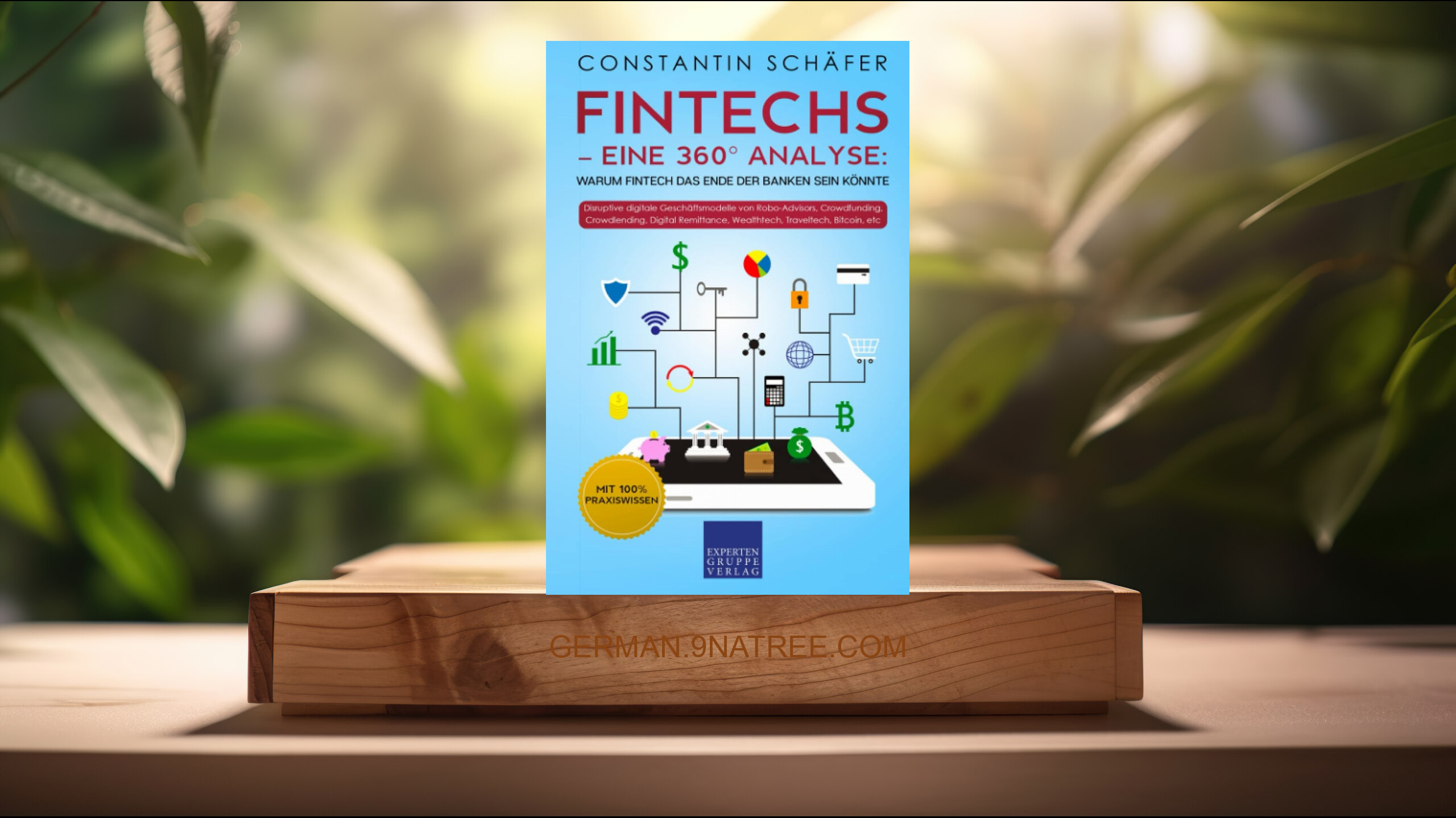 [Rezensiert] Fintechs – eine 360° Analyse (Constantin Schäfer) Zusammengefasst.