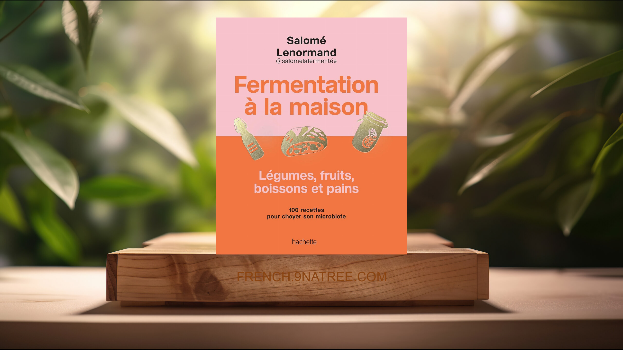 [Critique] Fermentation à la maison (Salomé Lenormand) Résumé.