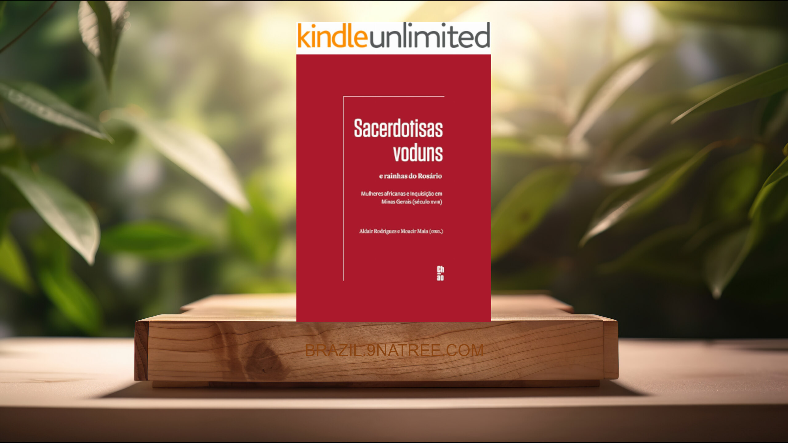 [Análises] Sacerdotisas voduns e rainhas do Rosário (Aldair Rodrigues) Resumidos.