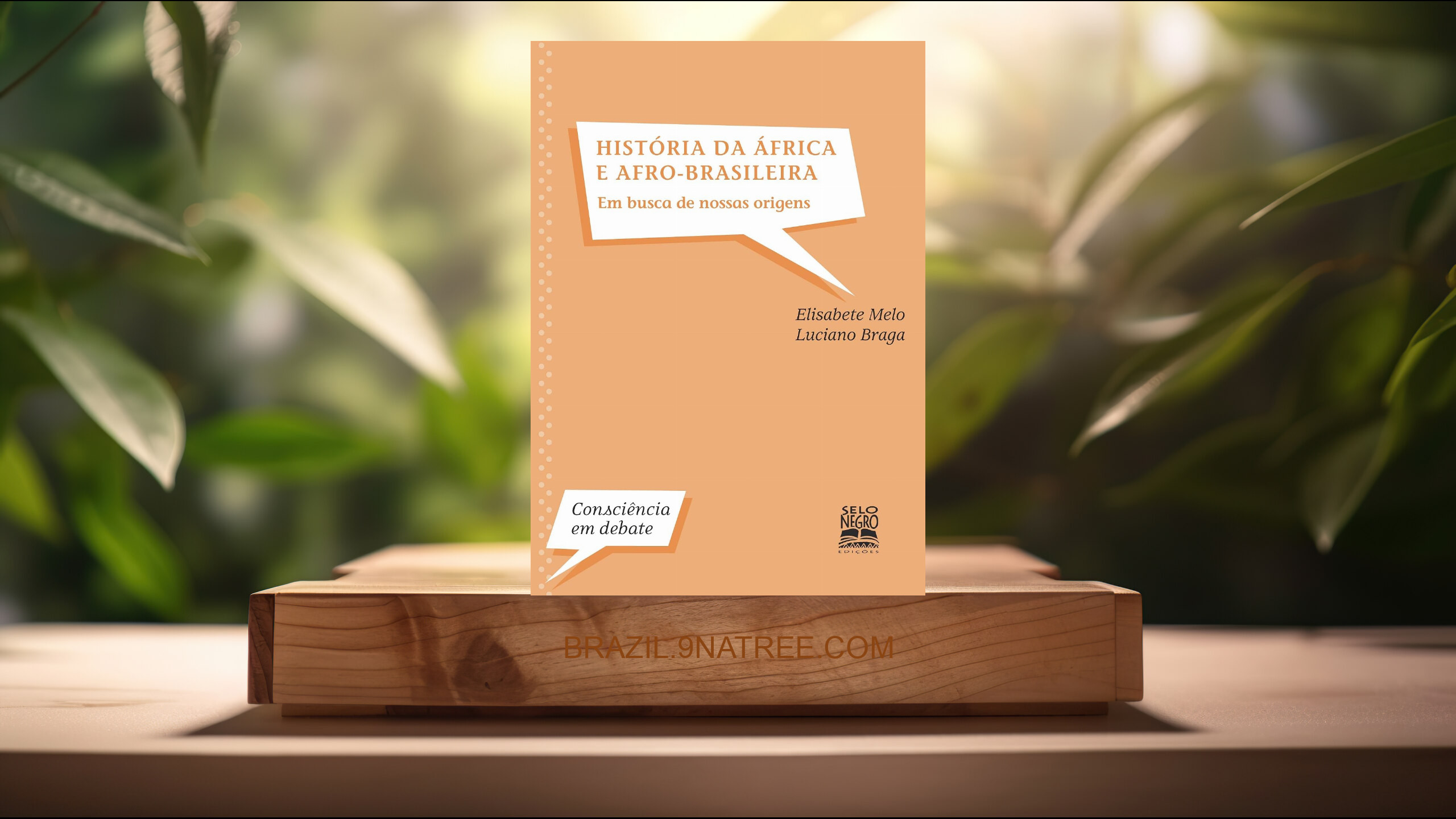 [Análises] História da África e afro-brasileira: em busca de nossas origens (Elisabete S. Melo) Resumidos.