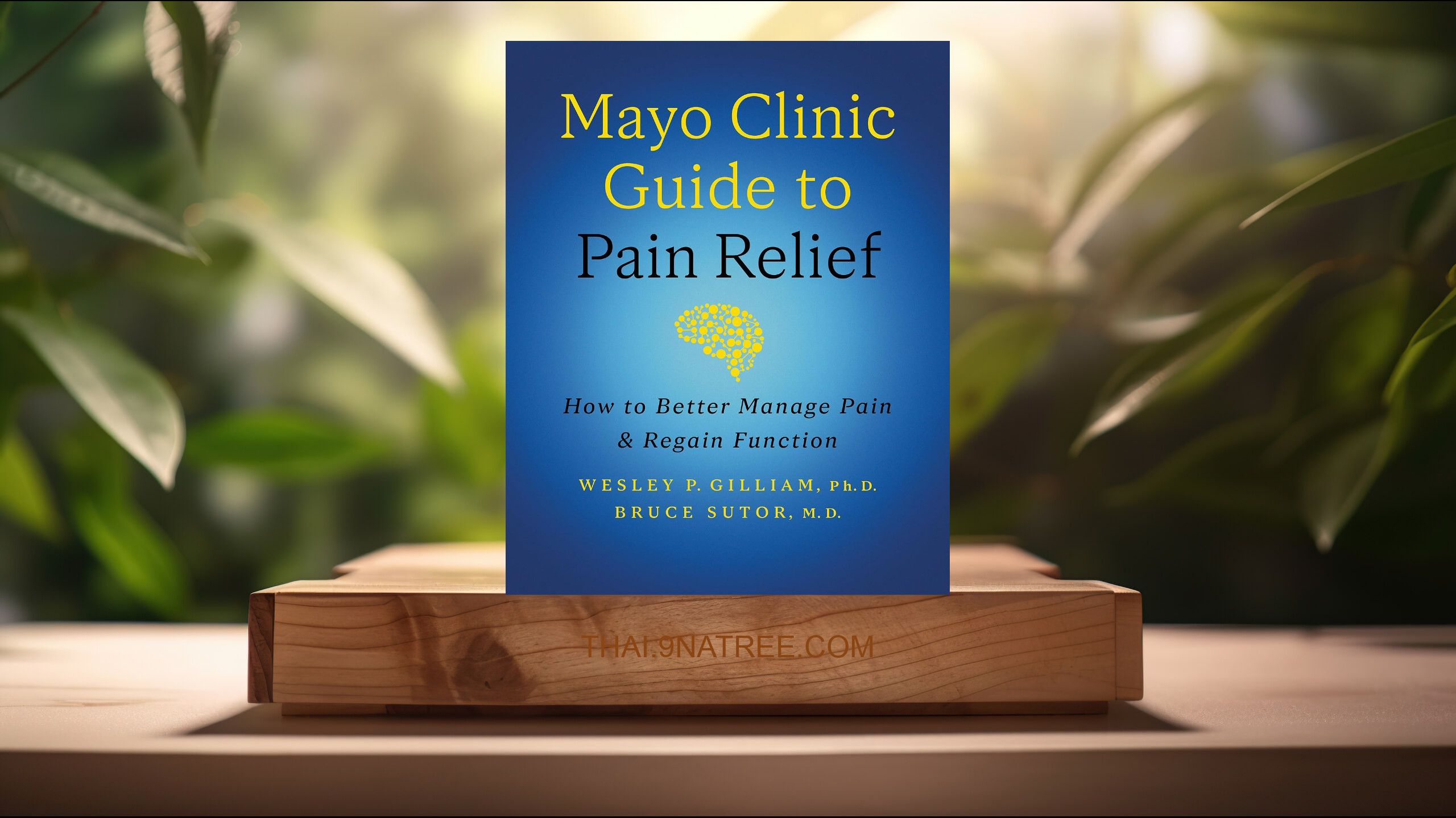 [รีวิว] Mayo Clinic Guide to Pain Relief, 3rd edition (Wesley P. Gilliam Ph.D.) สรุปหนังสือ.