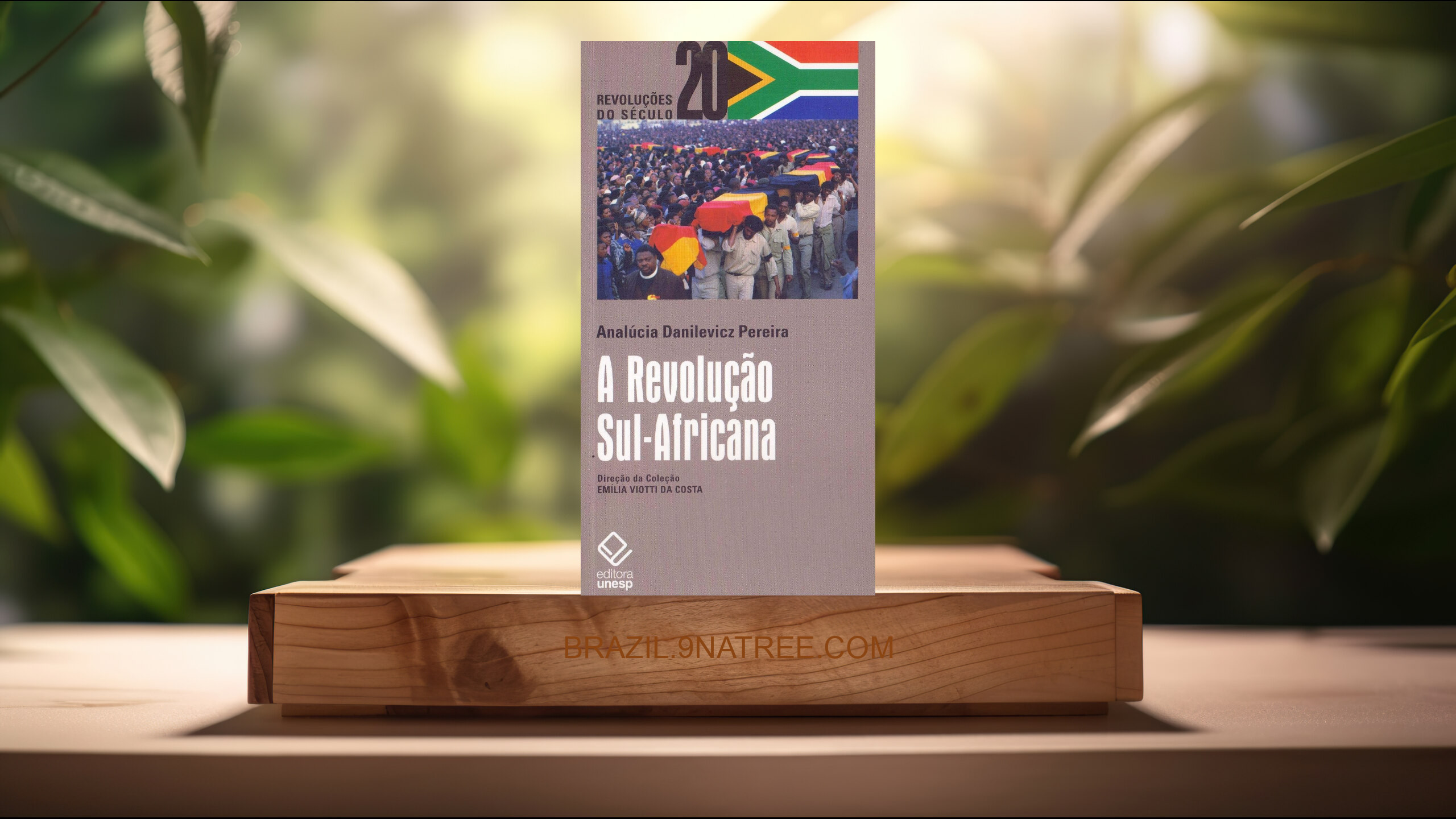 [Análises] A Revolução Sul-Africana (AnaLúcia Danilevicz Pereira) Resumidos.