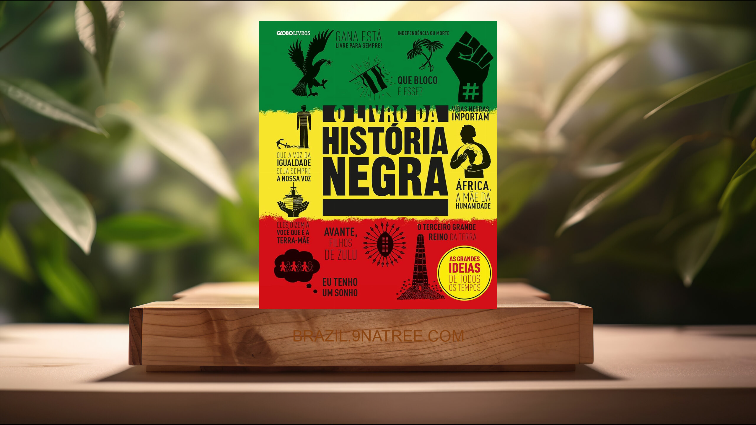 [Análises] O livro da história negra  (Vários) Resumidos.