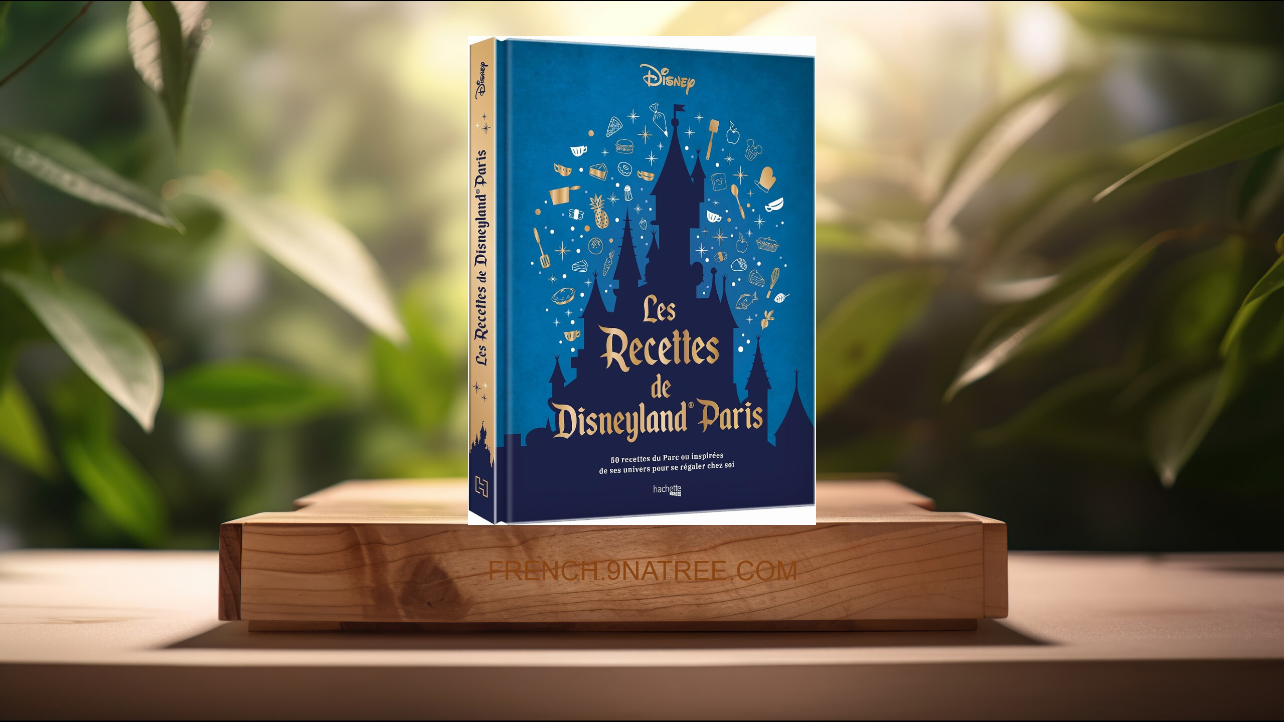 [Critique] Les recettes de Disneyland® Paris (Leslie Winandy) Résumé.